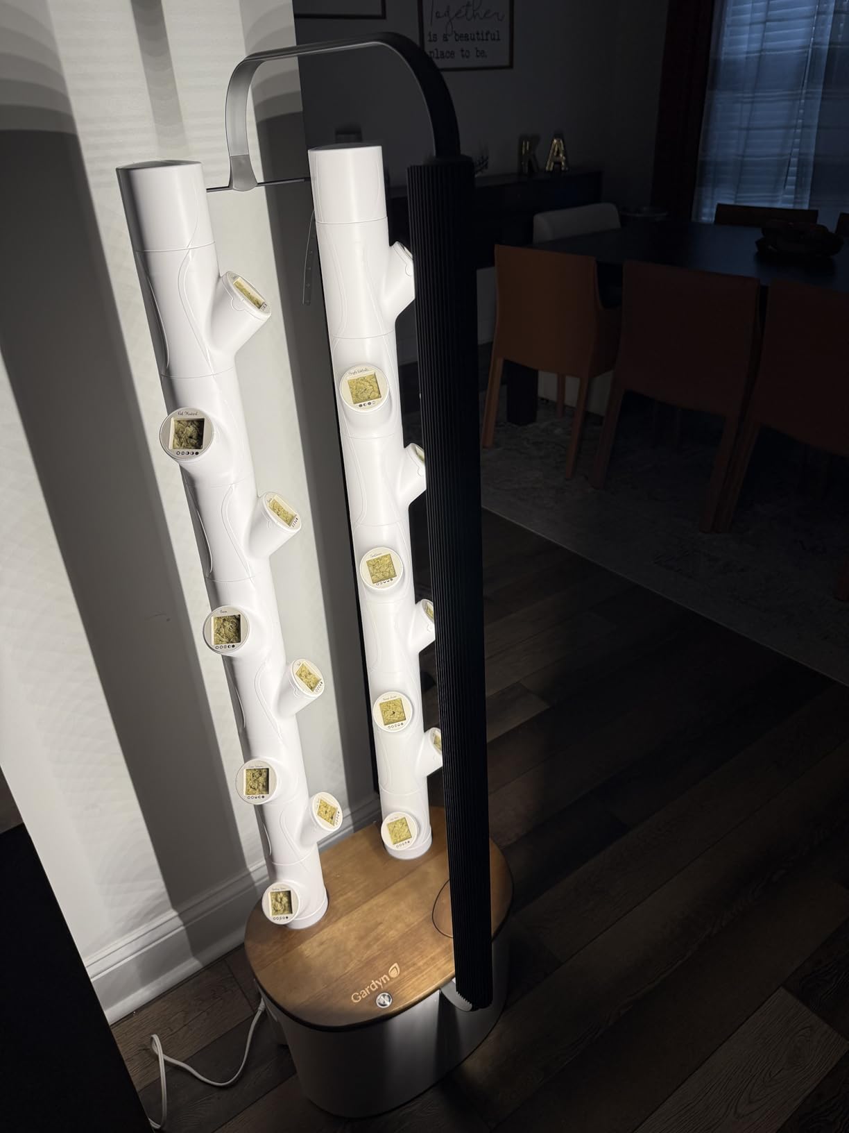 Gardyn Studio 2 Hydroponics Growing System - 16 Plants, Smart Tower | New & improved, non-GMO plants, herbs, vegetables, hydroponic herb garden planter indoor kit with grow lights customer photo 1