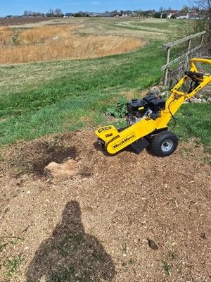 MechMaxx 12 Inch DUCAR 420cc 15HP Gasoline Engine Root Stump Grinder Tree Stump Removal, 8pcs Alloy Teeth, 12'' Cutting Height And 10'' Cutting Depth, Wheel Brake System, SGR1500 Yellow customer photo 1