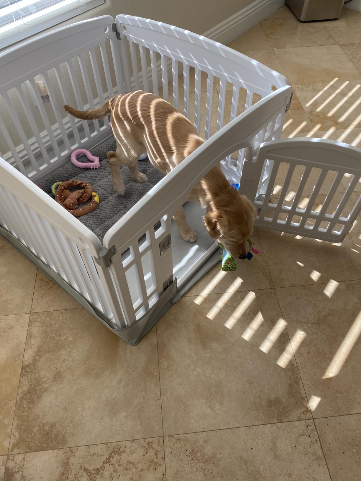 Sweetcrispy Dog Playpen, Plastic Puppy Pet Fence, 24 Inch 4 Panels | Expandable Durable Plastic Build, Indoor Outdoor Portable, Secure Locking Door, Small Medium Size Dog, Black customer photo 2