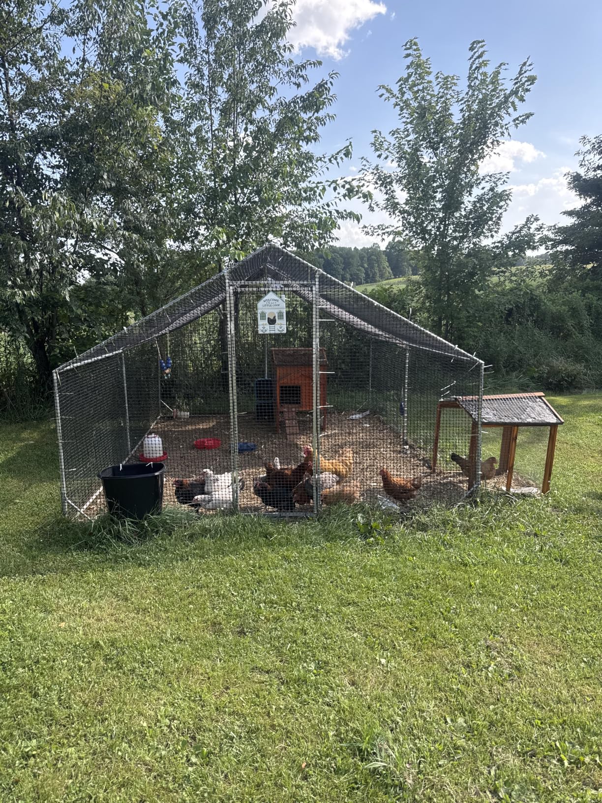 CAMMOO Metal Chicken Coop, 9.8x6.6x6.6ft Chicken Run for Yard with Cover | Upgrade Double Lock & Tough Mesh, Stainless Steel Ties, Easy Assembly, Chicken Pen for Ducks, Rabbits customer photo 1