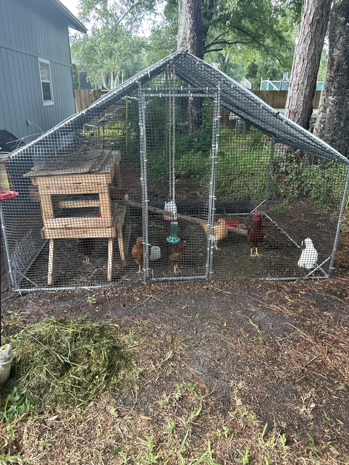 Large Walk-in Chicken Coop with Chicken Run, Galvanized Poultry Enclosure with Waterproof Anti-UV Cover and Security Lock, Ideal for Rabbit, Duck, Backyard and Farm Yard, 9.8'x 6.6'x 6.6' customer photo 1