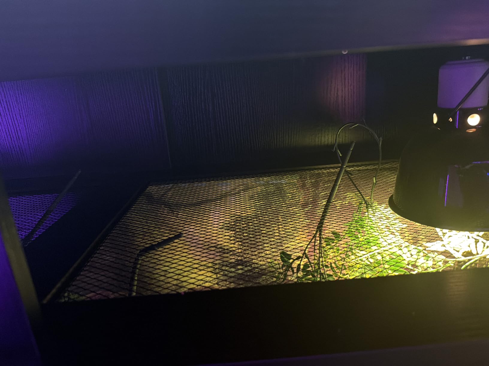 Dual 120 Gallon Reptile Tank with Stand,4x2x2 Reptile Enclosure | Bearded Dragon Tank,Reptile Terrarium with Cabinet,Sliding Doors for Snakes,Lizards,Built-in Power Outlet Black CAGE002B customer photo 2