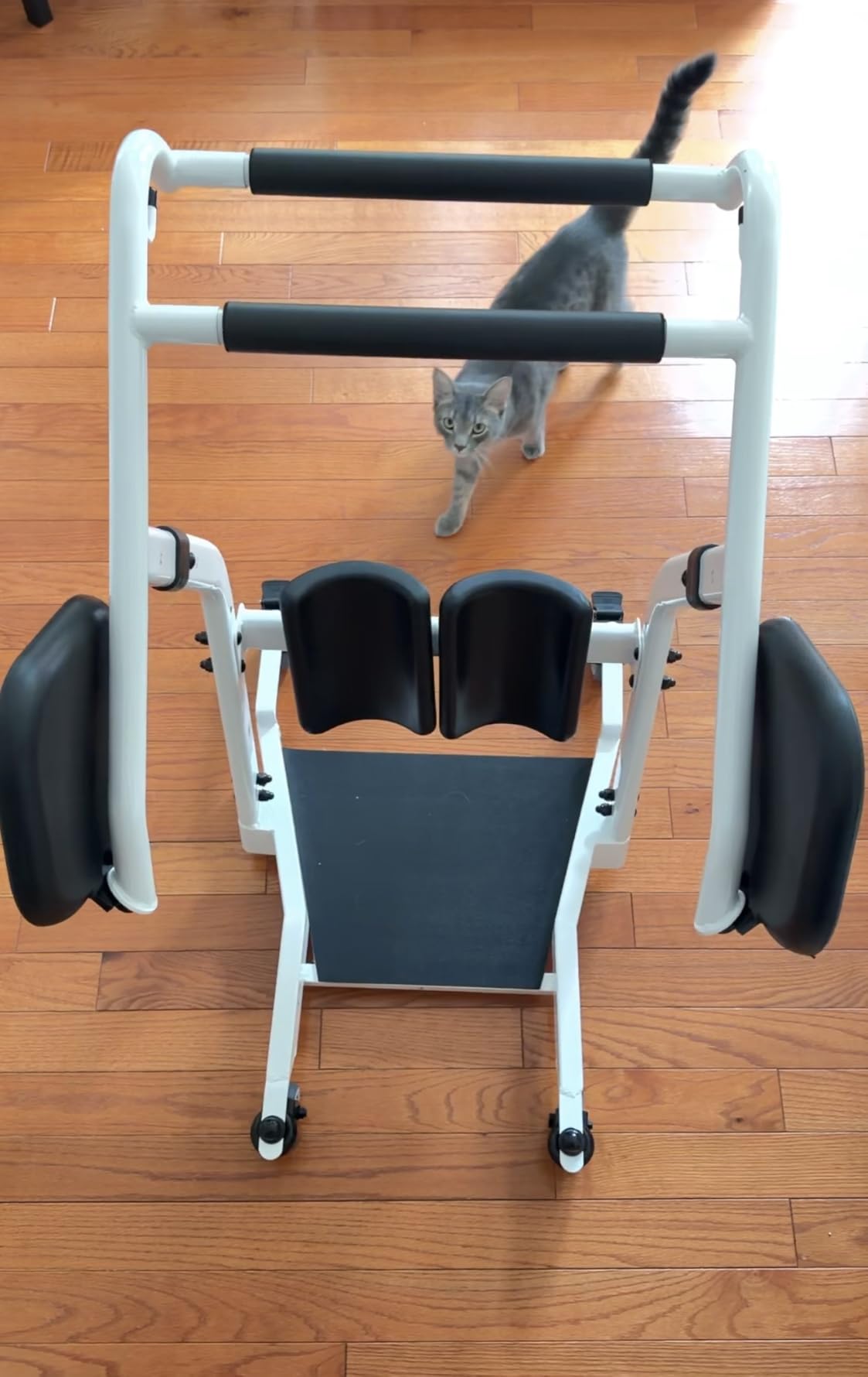 VOCIC Sit to Stand Lift, One-Step Stand Assist Lift for Elderly, Patient Lift Chair Transport Unit with Wheels, Fall Prevention & Muscle Building, AY03 2026 Upgraded customer photo 1