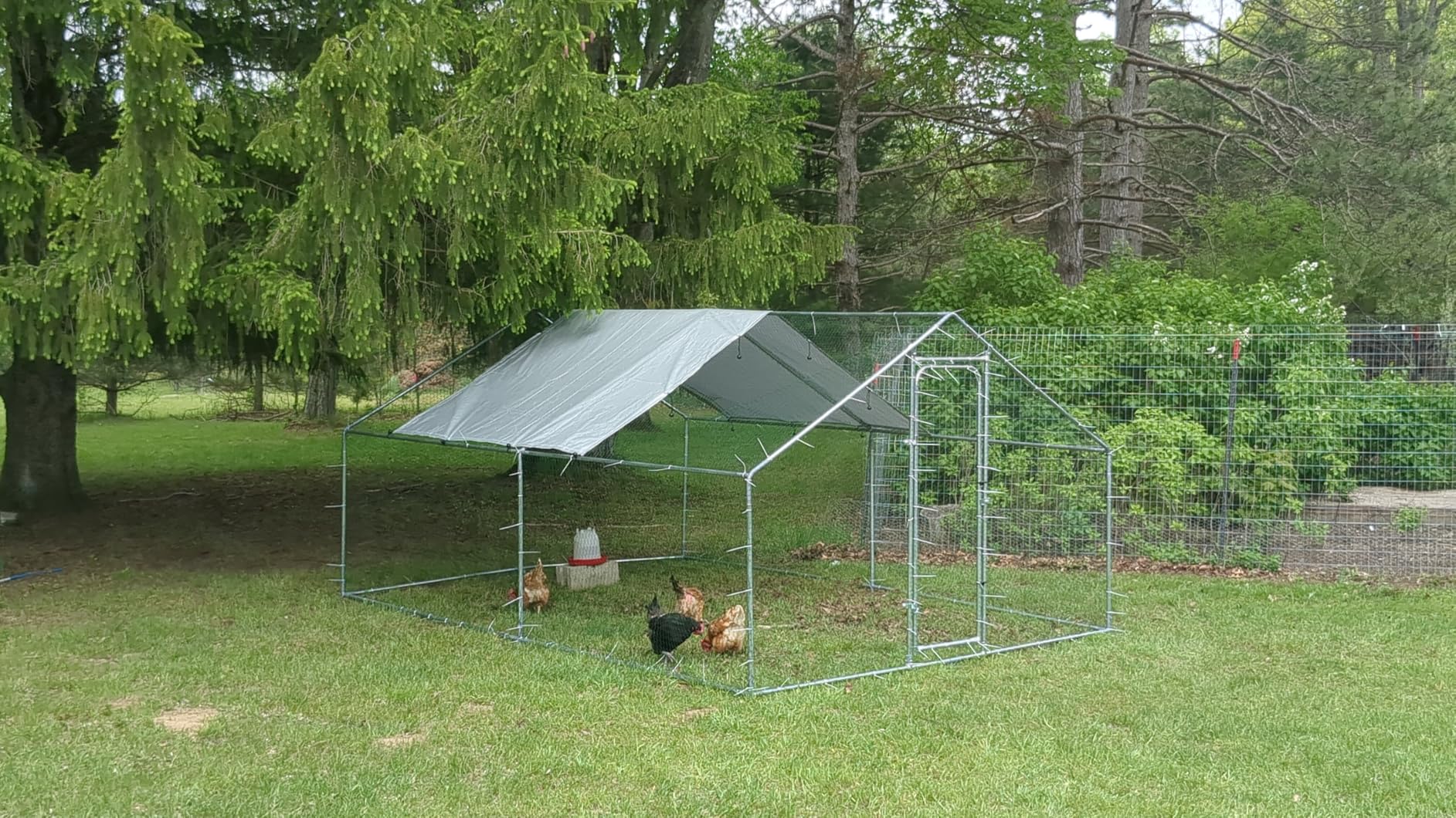 19.7x9.7 FT Extra Large Metal Chicken Coop, Walk-in Poultry Run | Weatherproof Cover, Reinforced Metal Frame, Walk-in Chicken Run, Outdoor Poultry Cage for Hens Ducks Rabbits customer photo 1