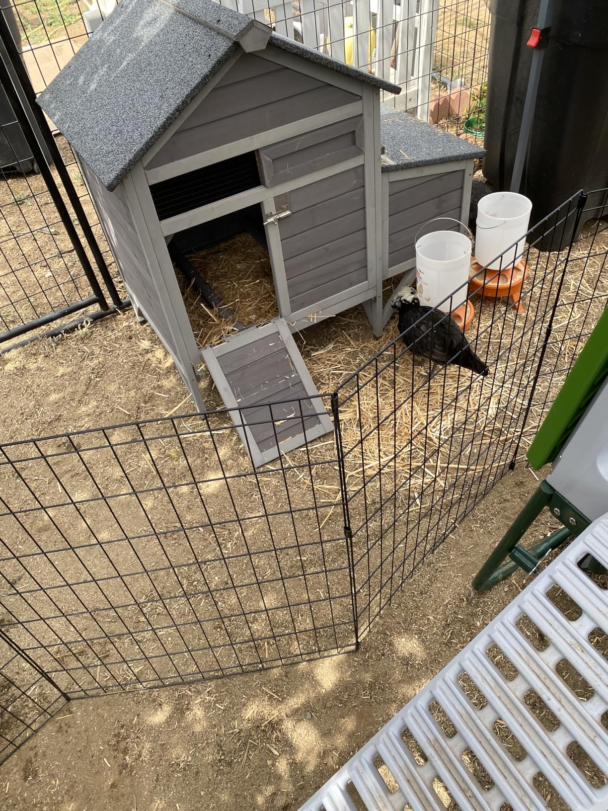 Aivituvin Extra Large Chicken Coop for 8-10 Chickens, Reinforced Outdoor Wooden Hen House with Run, 6 Nesting Boxes, Easy Clean Pull-Out Tray, Waterproof Asphalt Roof - Black, 118