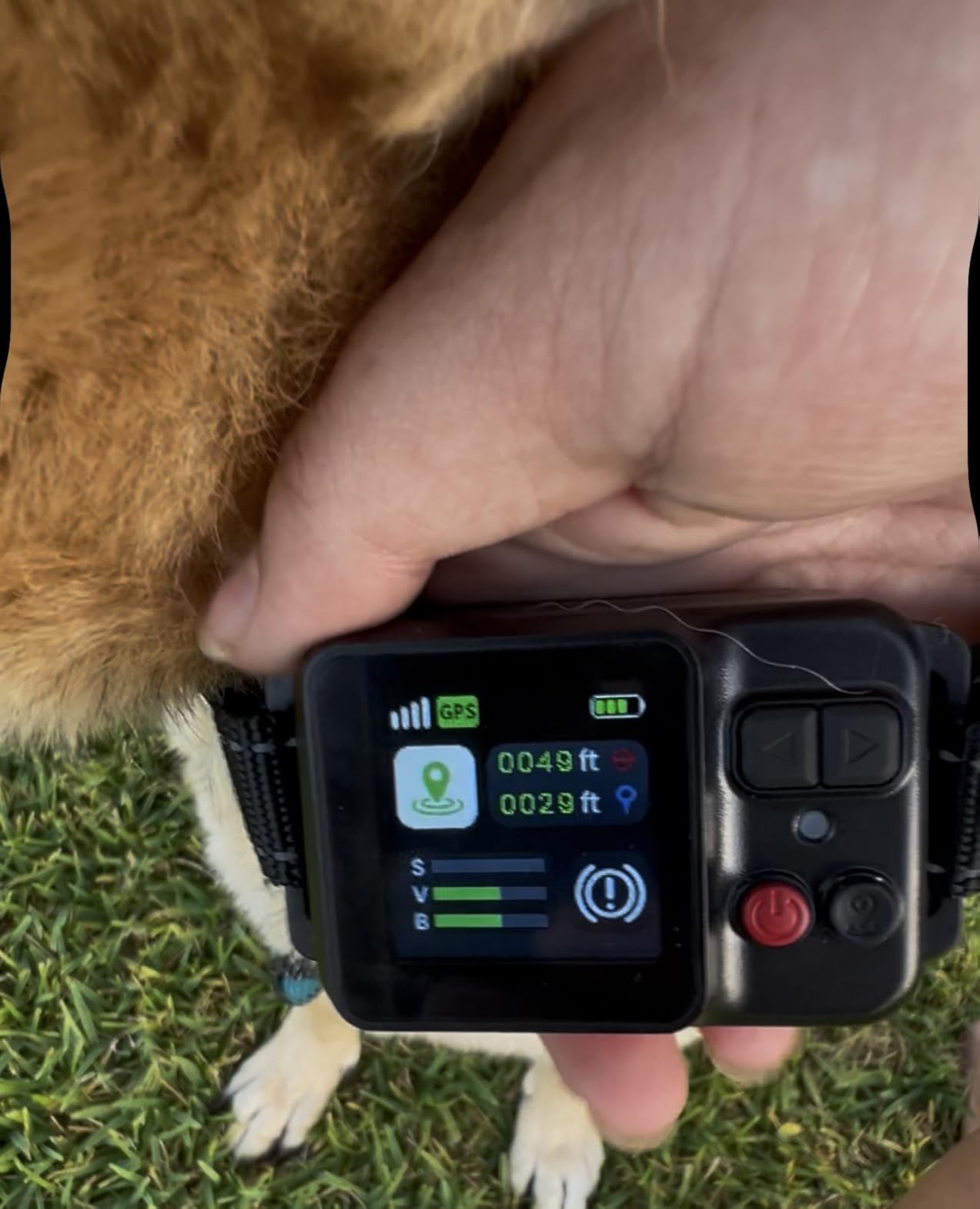 GPS Wireless Dog Fence System, Electric Dog Fence with GPS Collar, Adjustable Range 49-6561 FT, IP67 Waterproof, Virtual Containment System for Large & Medium Dogs, Outdoor Use customer photo 2