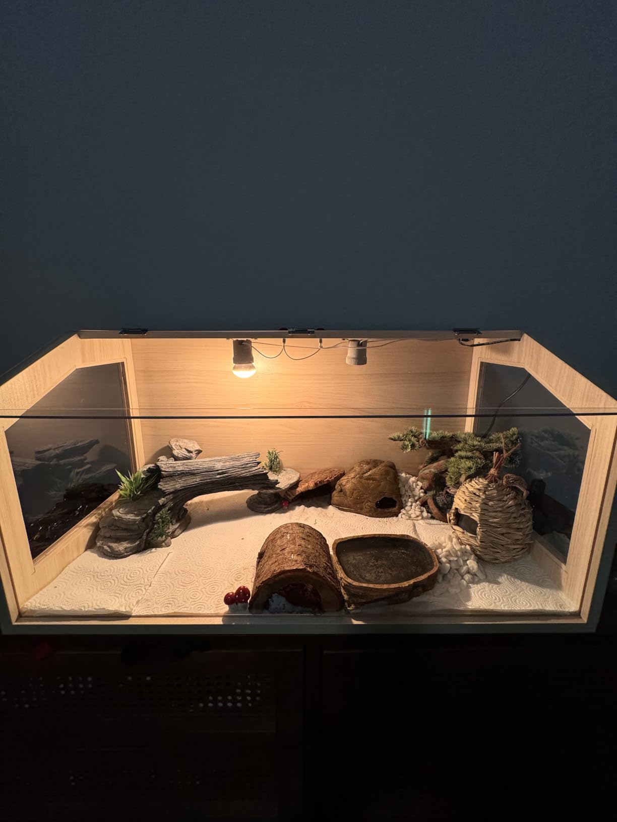 Bearded Dragon Tank, Reptile Enclosure, Tempered Glass Lizard Tank, Bearded Dragon Enclosure with Built-in Lamp Fixture and Wooden Roof for Chameleon (48x20x20 Inch, Black) customer photo 1
