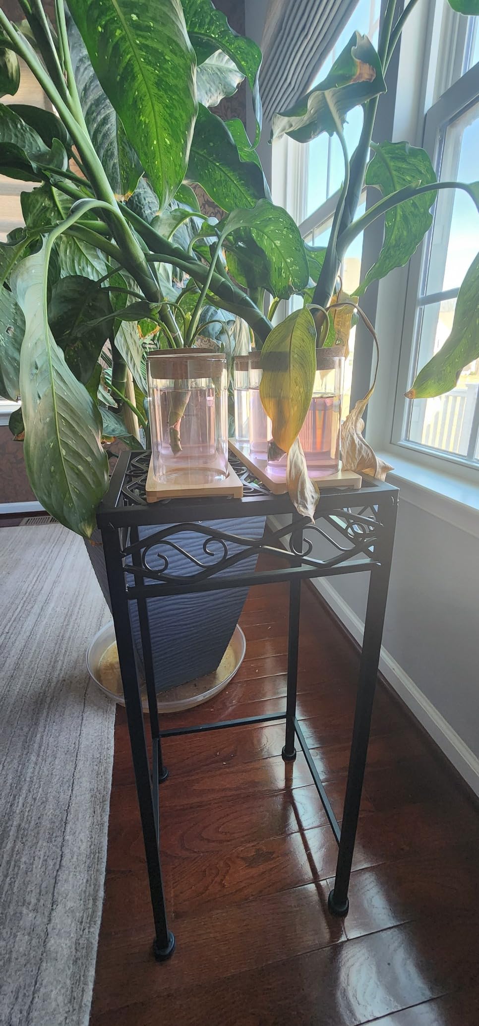 Plants Propagation Station | Vertical Hydroponic Tower Garden - Hydroponics Growing System Indoor, Aeroponic Tower Kit 30 Pods Grow customer photo 2
