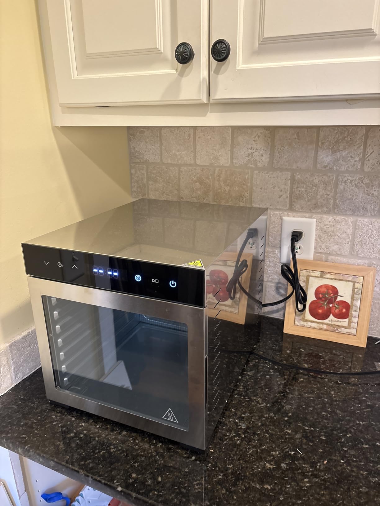 OLIXIS Food Dehydrator Machine, 500W Jerky Dehydrators with 8 Stainless Steel Large Trays, 185°F Temperature Control & 24H Timer Food Dryer for Fruit Meat Herb Dog Treats, Silver customer photo 2