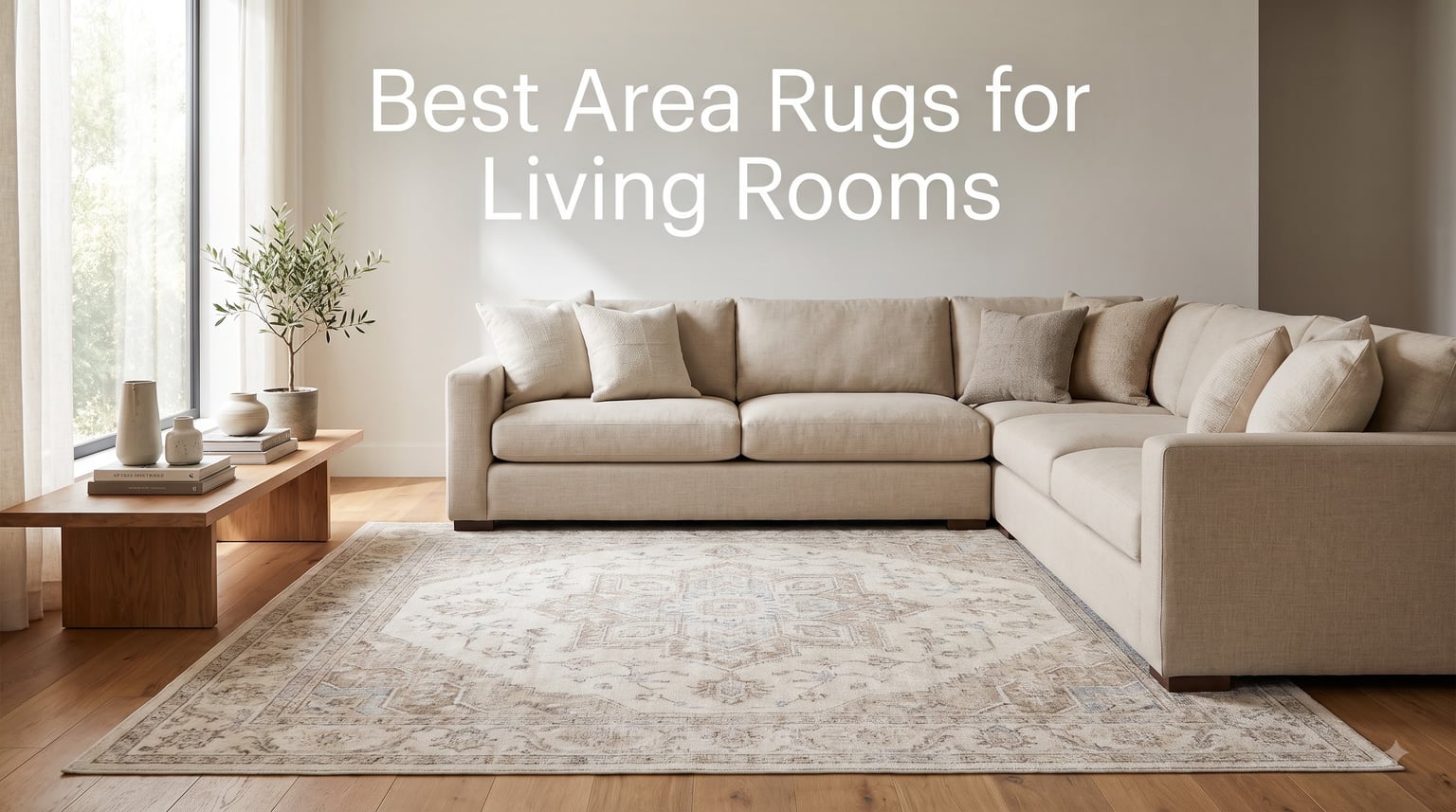 Best Area Rugs for Living Rooms