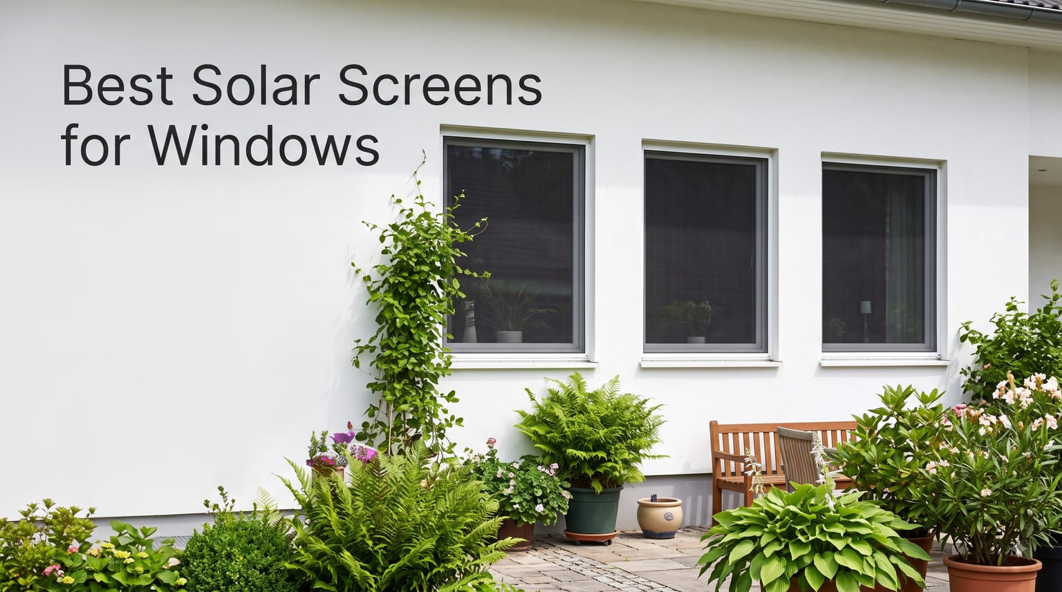 Best Solar Screens for Windows