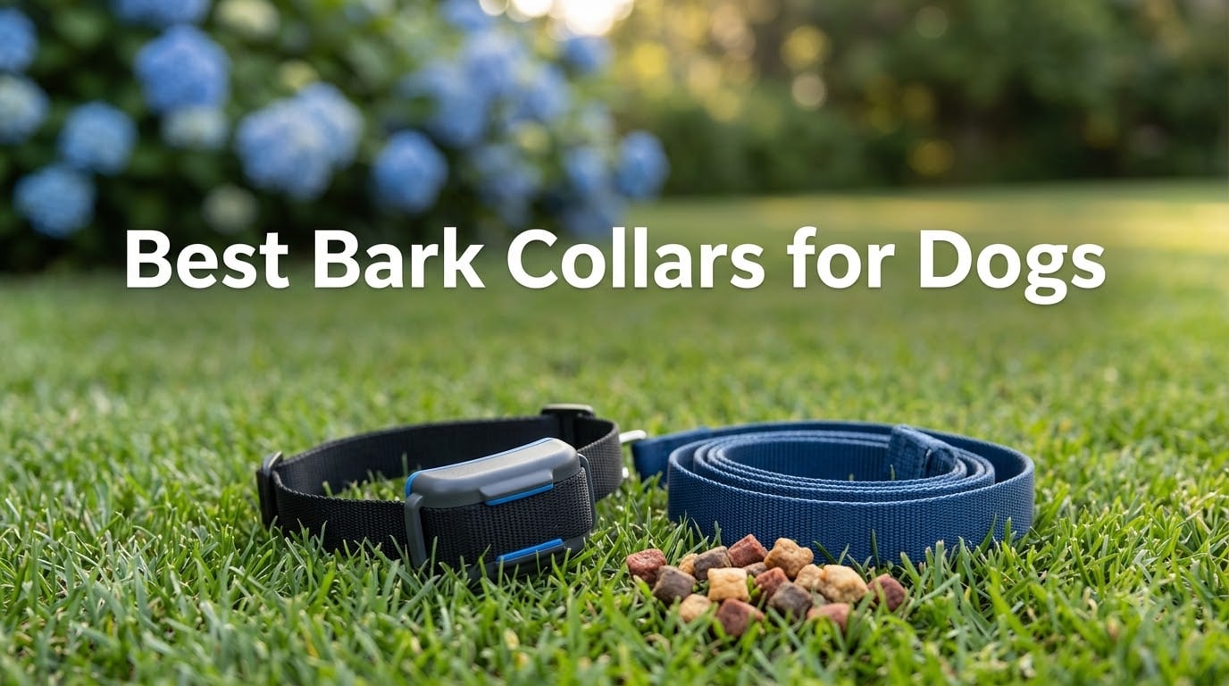 Best Bark Collars for Dogs