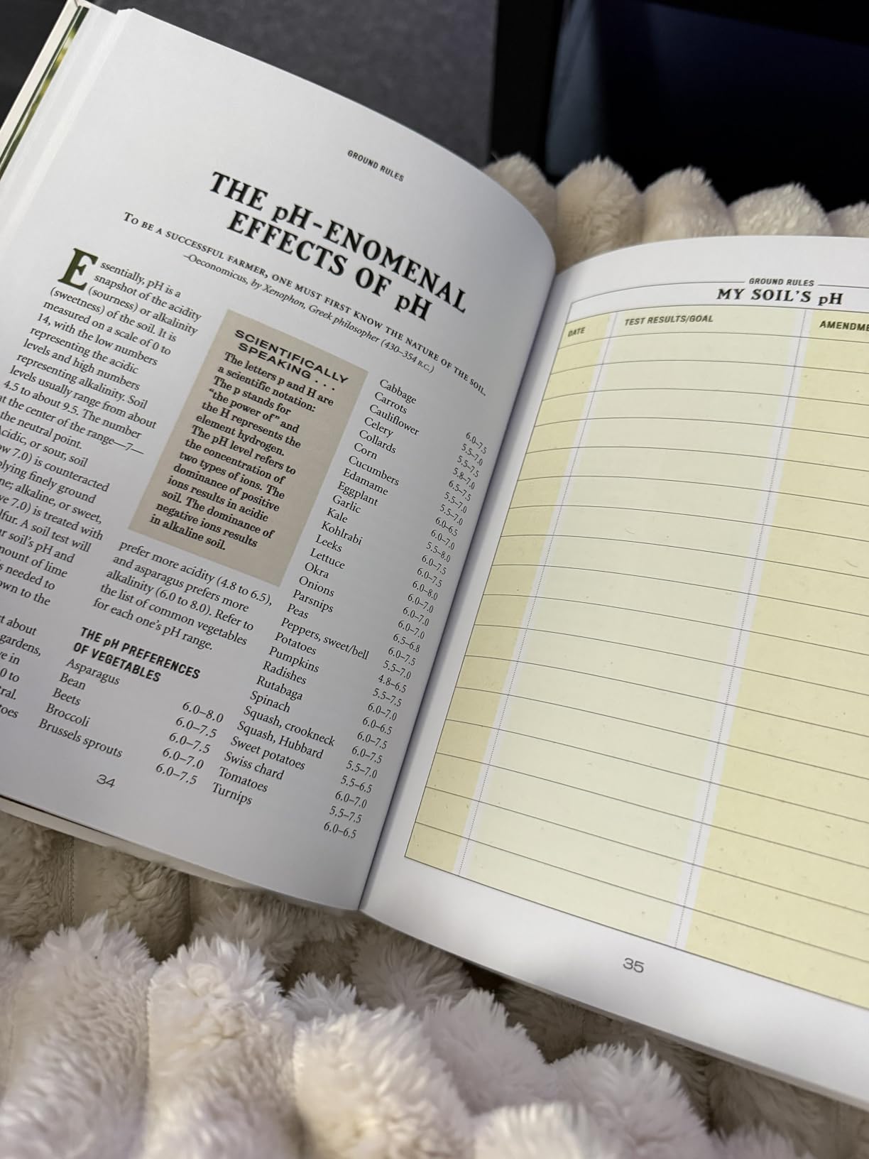 The Old Farmer's Almanac Vegetable Gardener’s Handbook: Essential Step-by-Step Advice for Growing Vegetables and Achieving Success customer photo 2