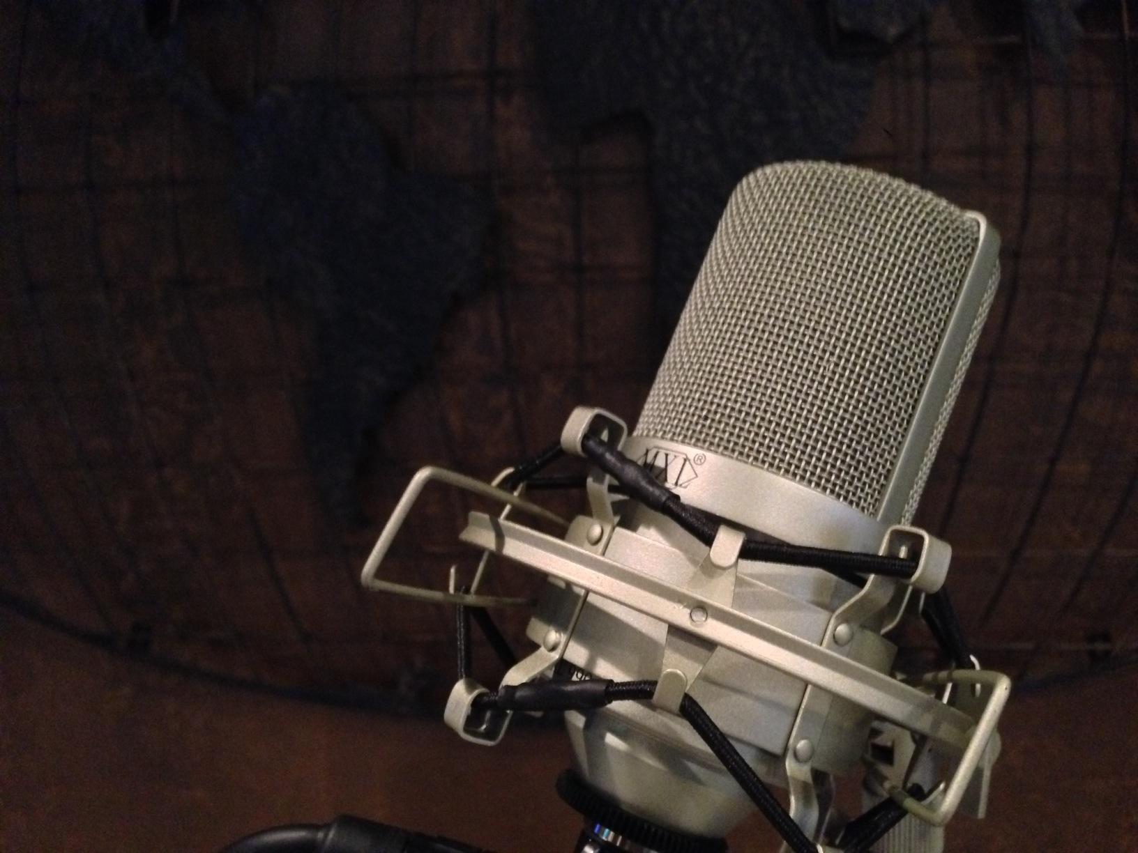 MXL 990 Condenser Microphone for Podcasting, Singing, Home Studio Recording, Gaming & Streaming | Detailed Sound | XLR | Large Diaphragm (Champagne) customer photo 2
