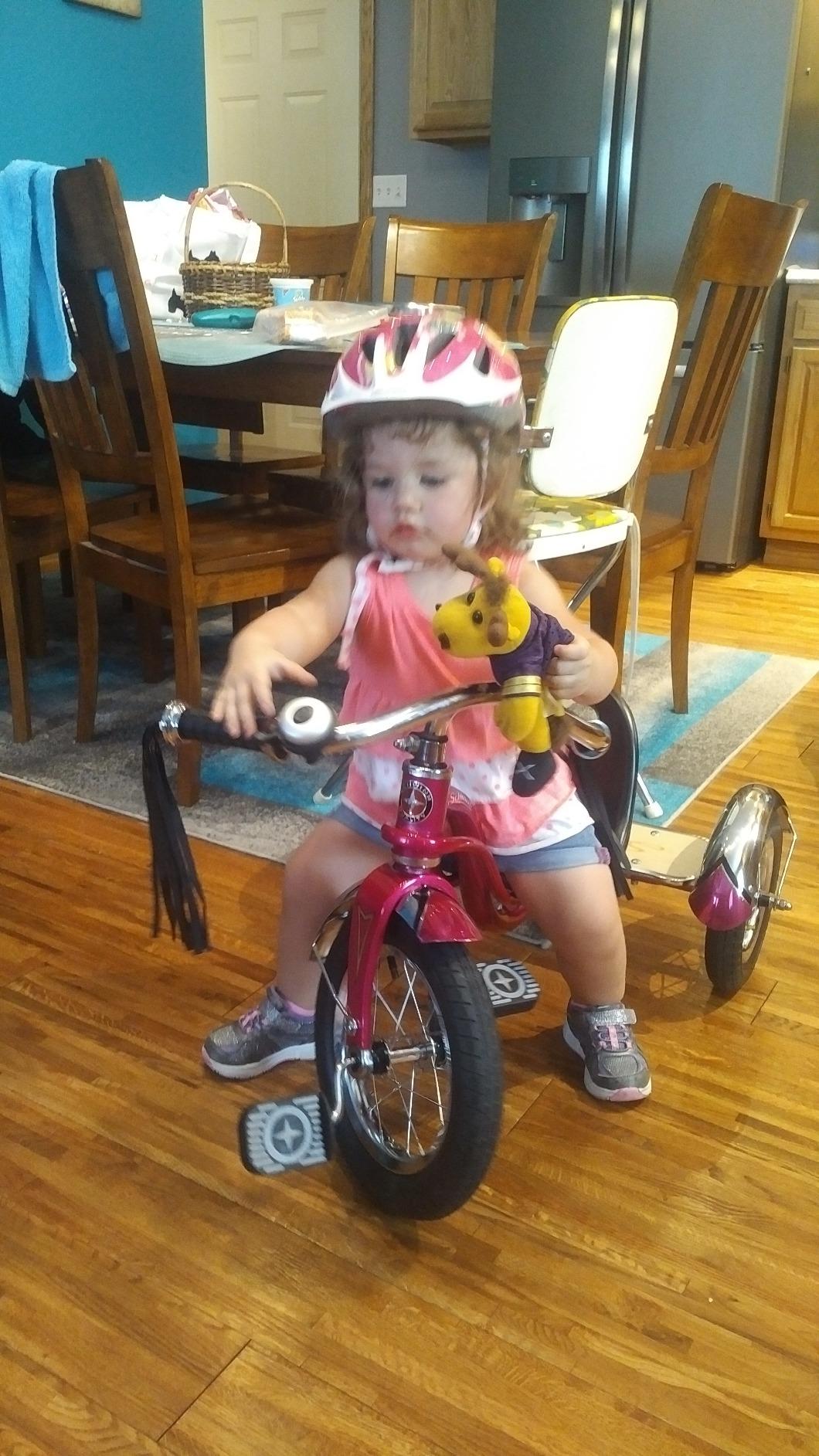 Schwinn Roadster Tricycle, 12 Inch Front Wheel Bike for Kids Ages 2-4, Low Center of Gravity, Retro Steel Frame, Adjustable Seat Grows with your Child, Rear Deck, Tricycle for Toddlers customer photo 1