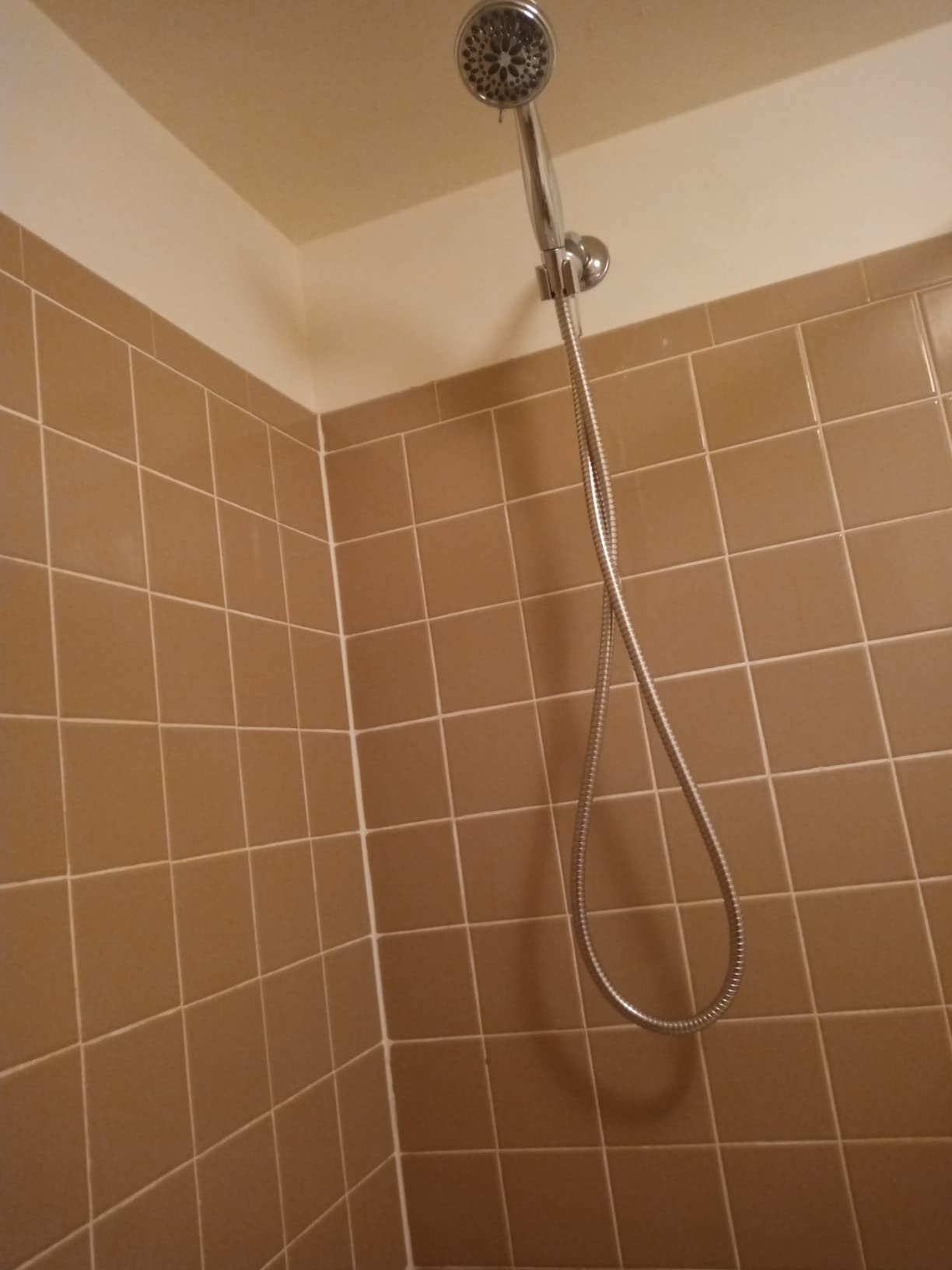 Delta Faucet 7-Spray Touch-Clean Hand Held Shower Head with Hose, Chrome 75700 customer photo 2