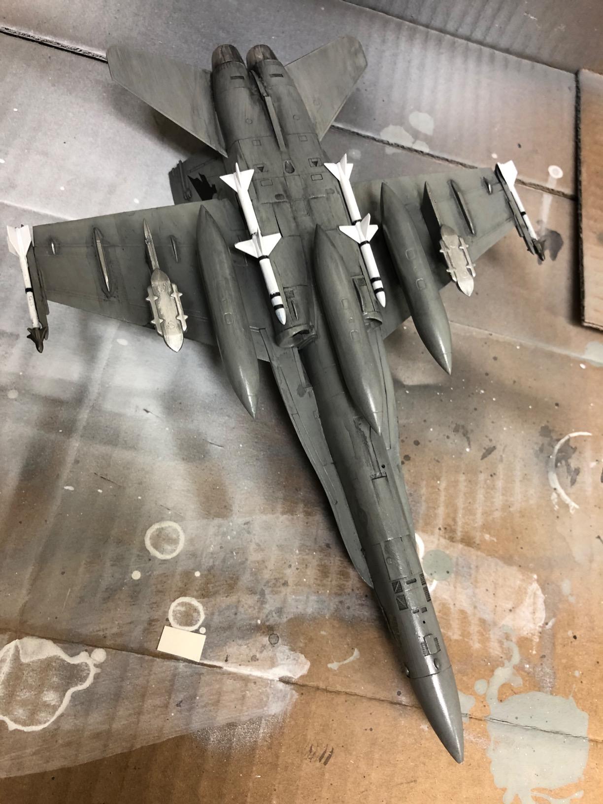 Hasegawa 1/72 F/A-18D Hornet customer photo 1