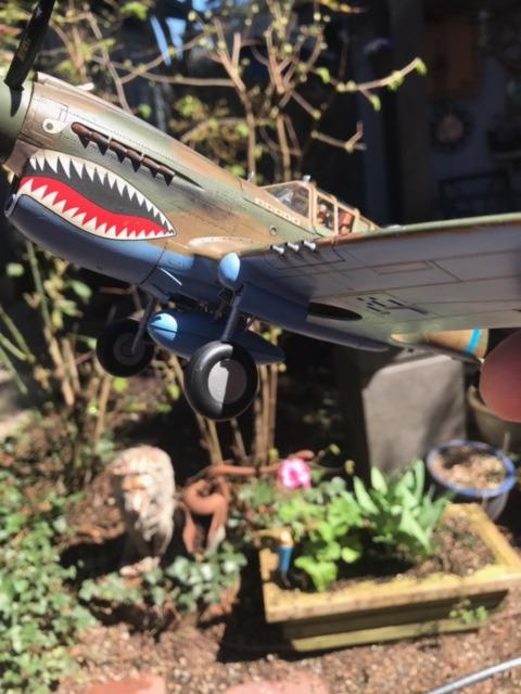 Hasegawa 1/32 P-40E Warhawk Texas Longhorn with Pilot Figure, Drop Tank and 500Ib Bomb customer photo 2
