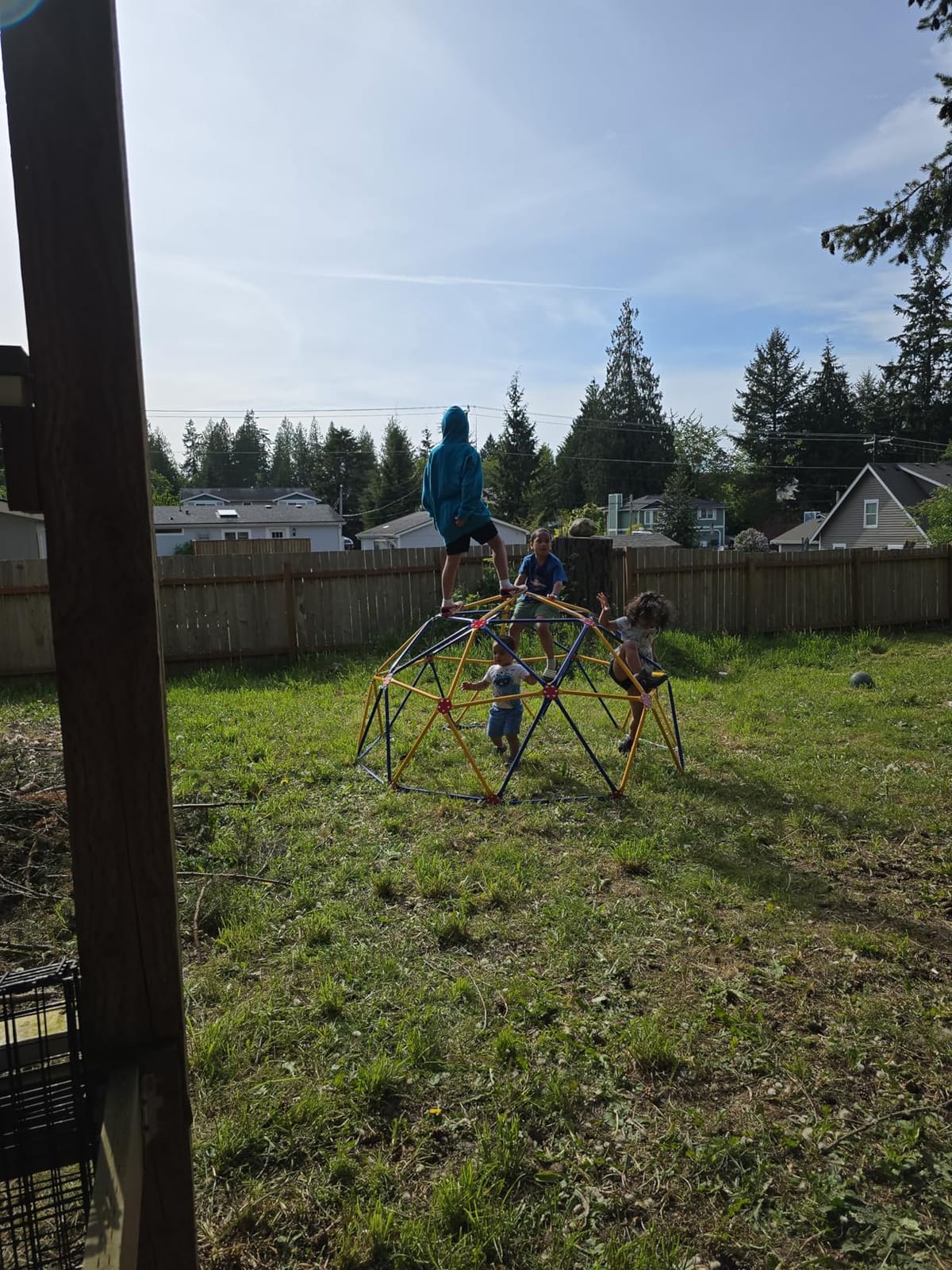 EASY OUTDOOR Space Dome Climber for Kids Backyard Jungle Gym 1000 lb GD-810 customer photo 1