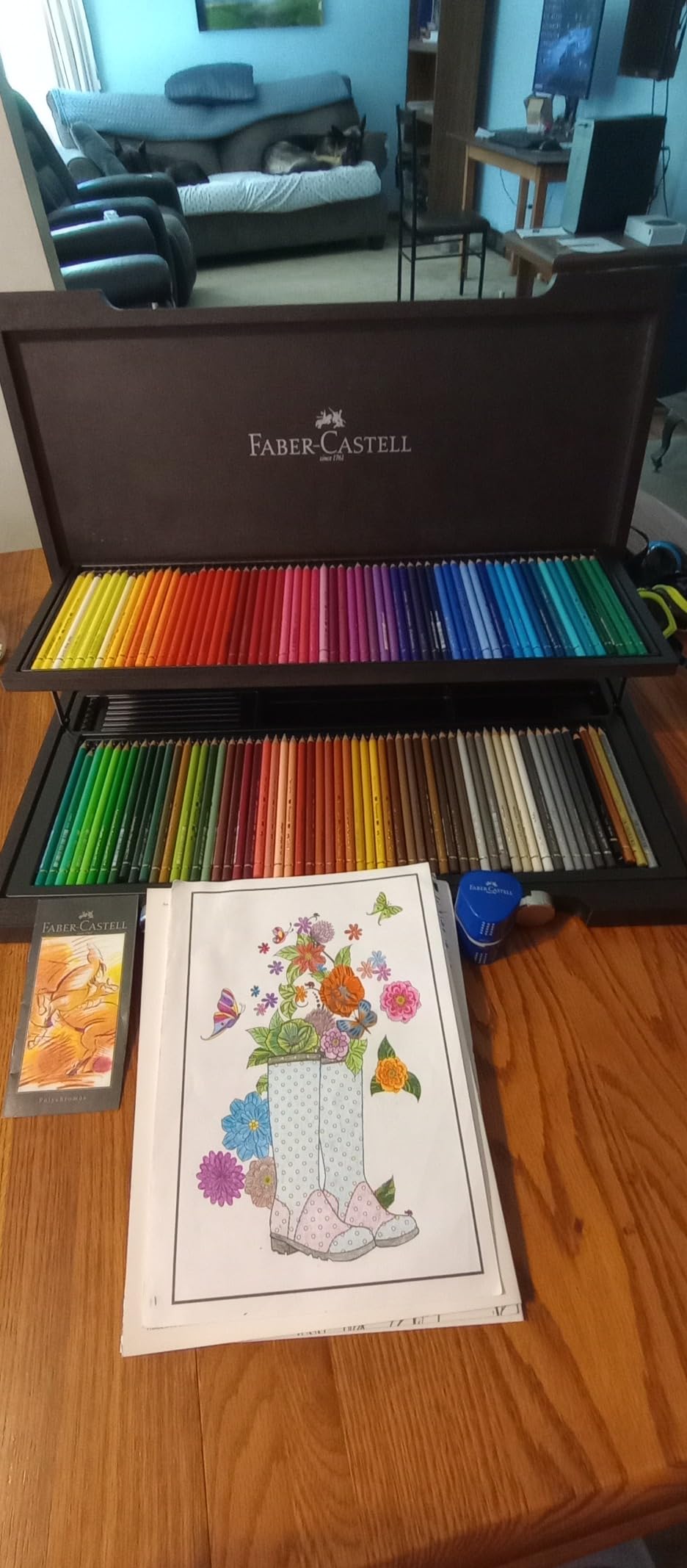 Faber-Castell Polychromos Artists' Color Pencils - Wood Case of 120 customer photo 1