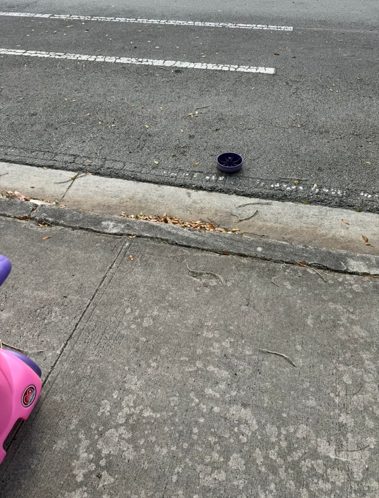 Step2 Push Around Buggy Kids Push Car, Toddler Ride-On Toy with Seat Belt and Horn, Red, Ages 18 Months+ customer photo 2