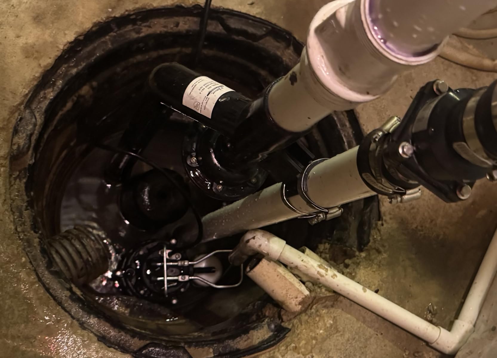 WAYNE CDU980E 3/4 HP Submersible Sump Pump – Cast Iron & Stainless Steel, Vertical Float Switch, 5,490 GPH, 5-Year Warranty customer photo 1