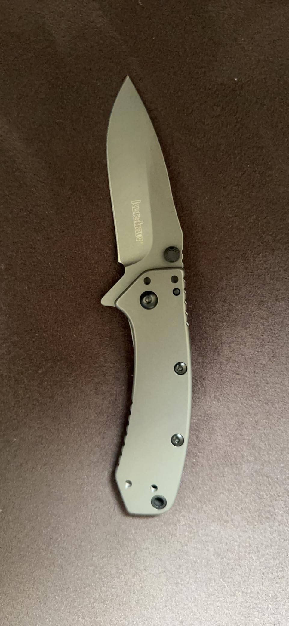 Kershaw Cryo Pocket Knife, EDC Knife with Speedsafe Assisted Opening, 2.75 Inch Stainless Steel Blade, Multiple Styles customer photo 1