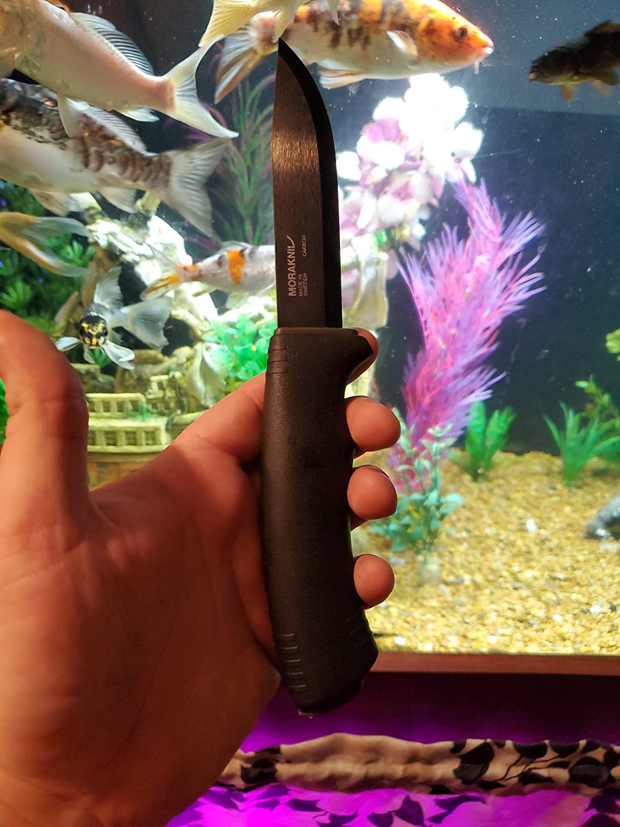Morakniv Carbon Steel Fixed-Blade Bushcraft Knife with Sheath, Black, 4.3 Inch customer photo 2