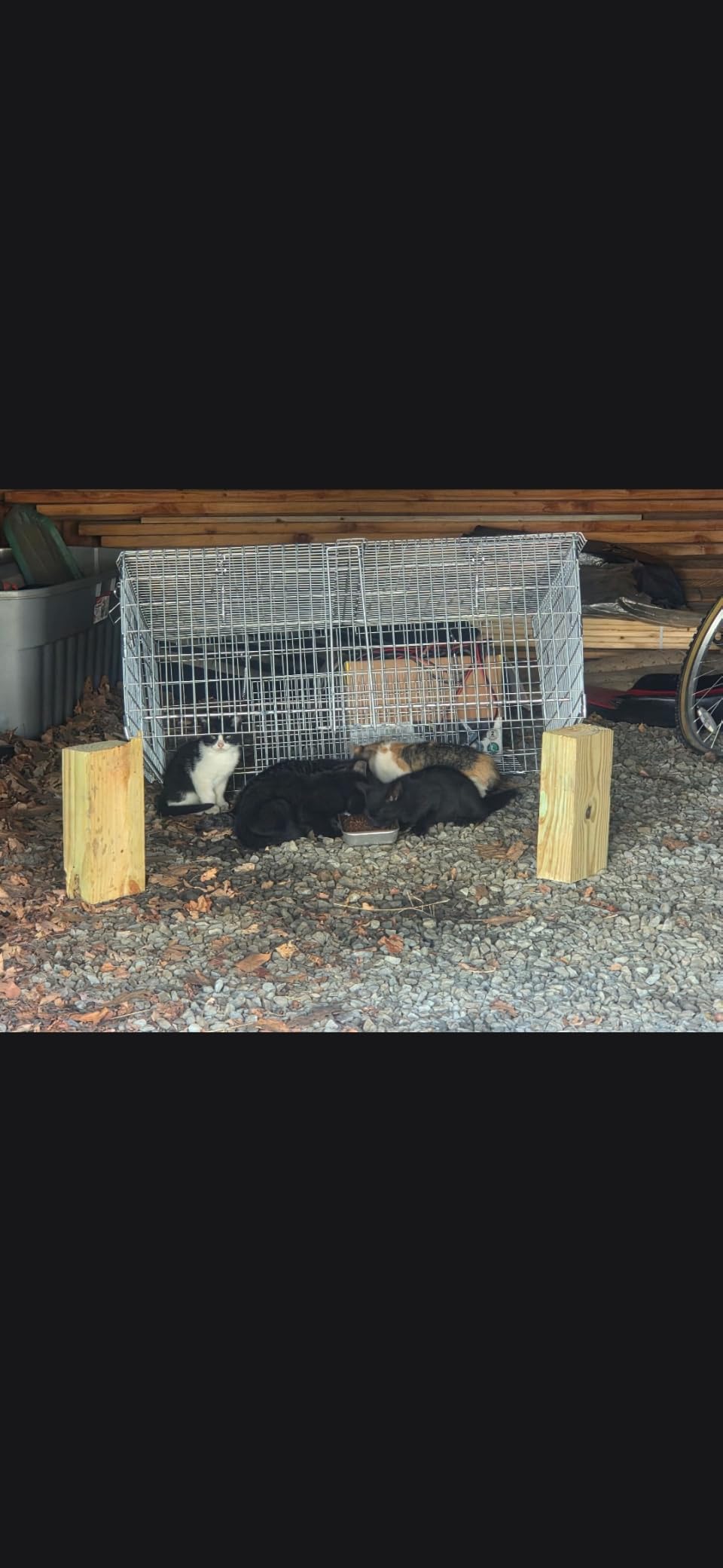 Tomahawk Live Trap - Model DT1 - Tomahawk TNR Series Neighborhood Cats Drop Trap - 36x36x14 Collapsible customer photo 1