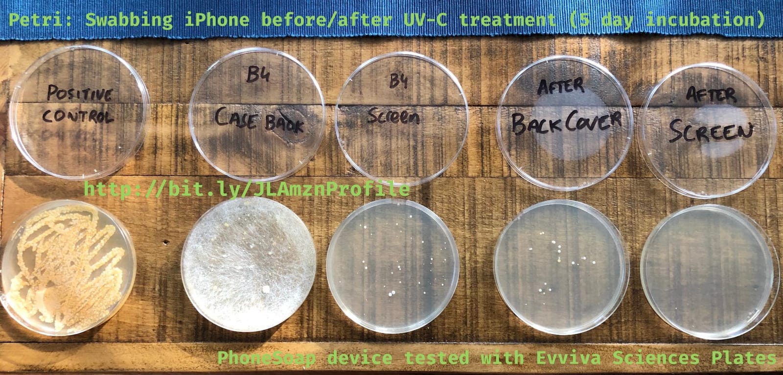 Evviva Sciences Microbiology Science Project Kit, Pre-Poured Agar Plates for Students, Agar Petri Dishes to Learn Microbiology, with Educational Experiment eBook customer photo 1