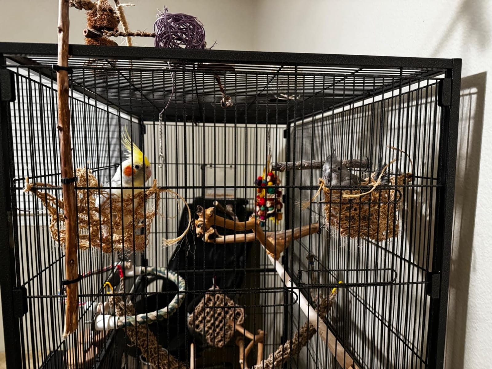 Prevue Pet Products Wrought Iron Bird Flight Cage w/Wheels- L, Chalk White customer photo 2