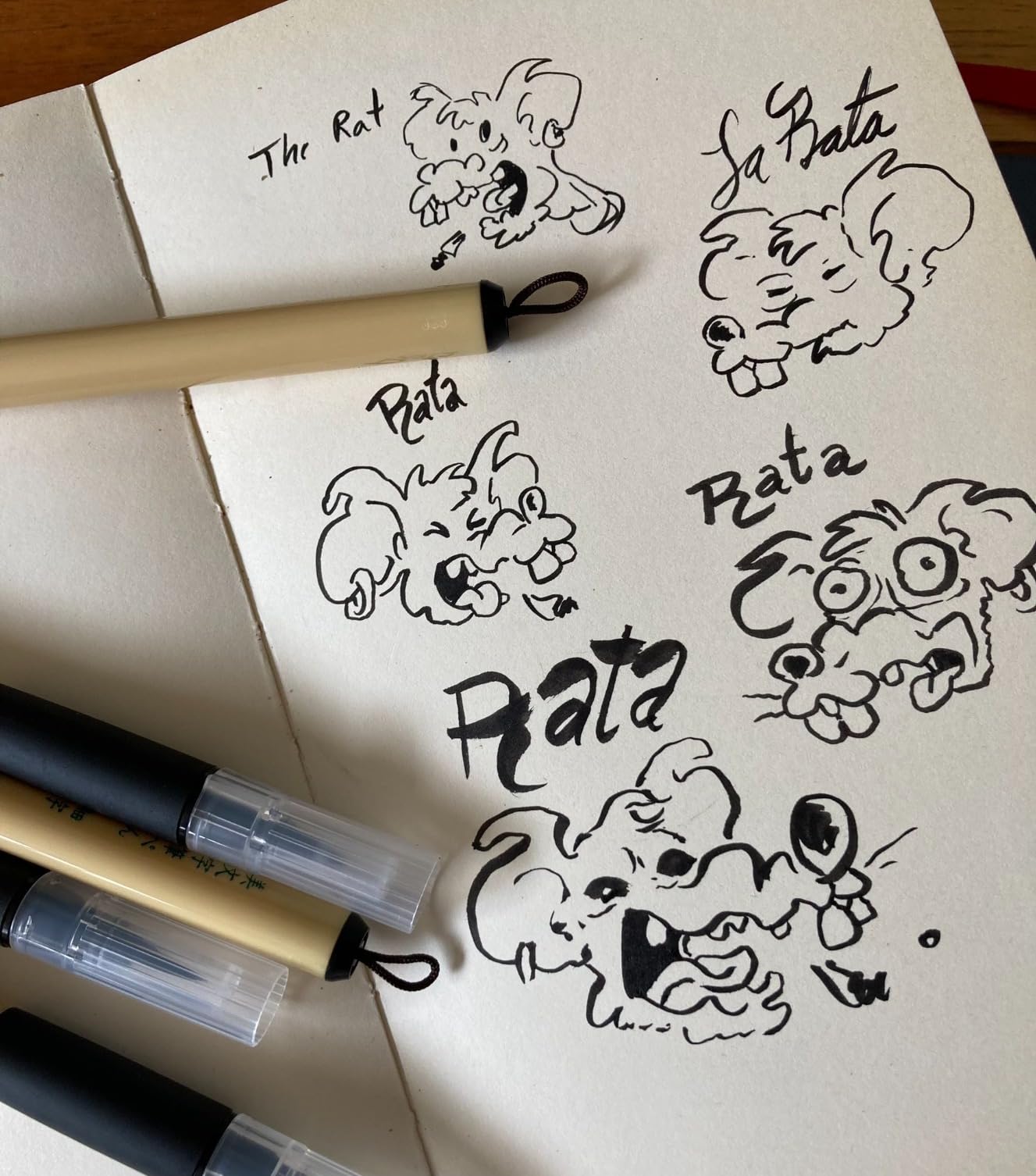 Kuretake Bimoji Brush Pen, 5 pcs set (Extra Fine, Fine, Medium, Large, Medium Brush), great for Calligraphy, Hand lettering and Illustration, for Beginners and Professional, Made in Japan customer photo 2