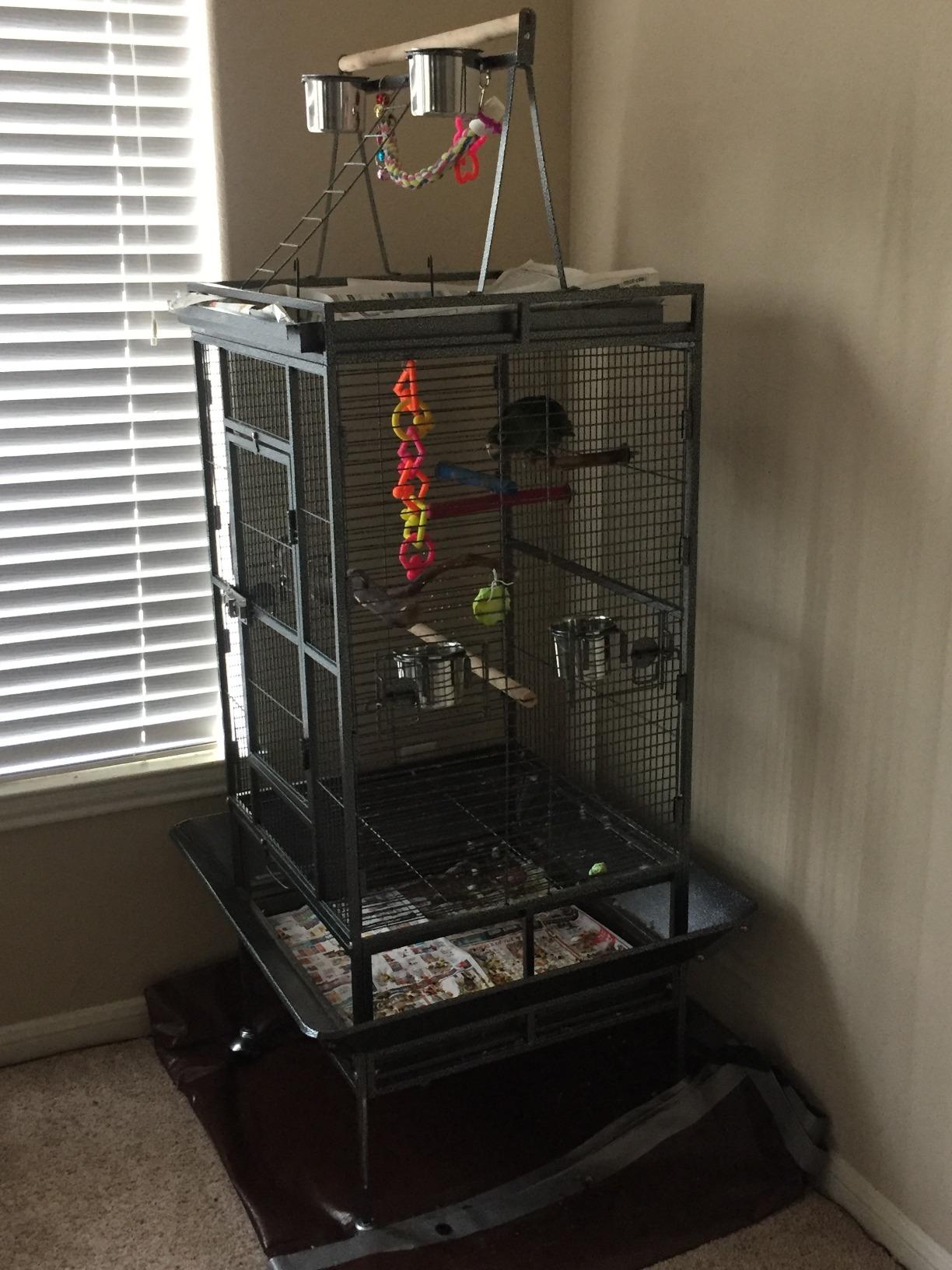 Nova Microdermabrasion 68-Inch Height Wrought Iron Standing Large Play Top Bird Cage for African Grey Small Quaker Parrot Cockatiel Sun Parakeet Green Cheek Conure Dove Budgie Lovebird customer photo 1