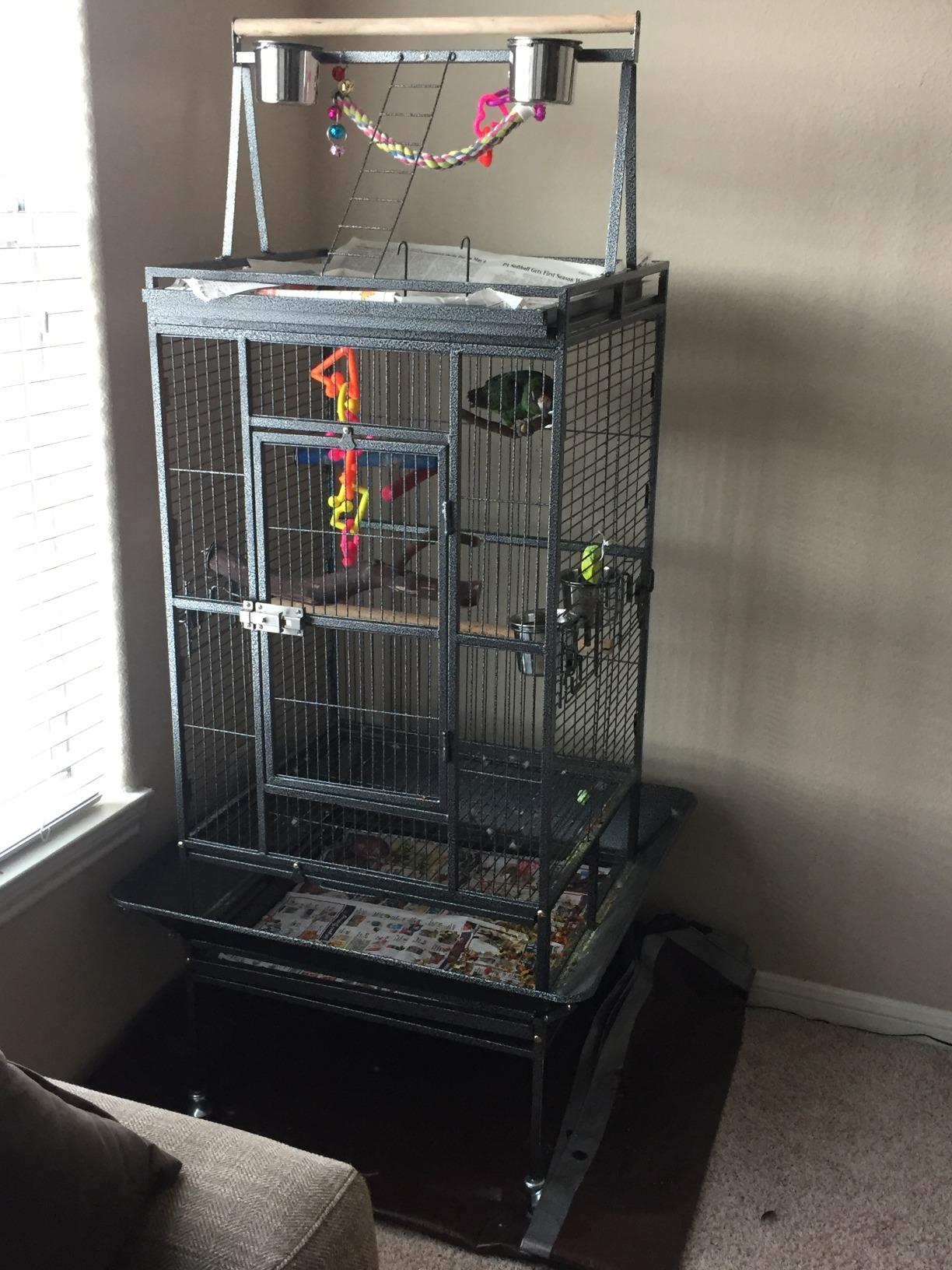Nova Microdermabrasion 68-Inch Height Wrought Iron Standing Large Play Top Bird Cage for African Grey Small Quaker Parrot Cockatiel Sun Parakeet Green Cheek Conure Dove Budgie Lovebird customer photo 2