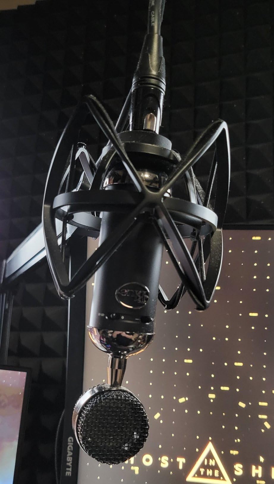 Blue Blackout Spark SL XLR Condenser Microphone for Pro Recording, Streaming, Podcasting, Gaming, with Large Diaphragm Cardioid Mic Capsule, Shockmount, Detailed Natural Sound, Protective Case - Black customer photo 1
