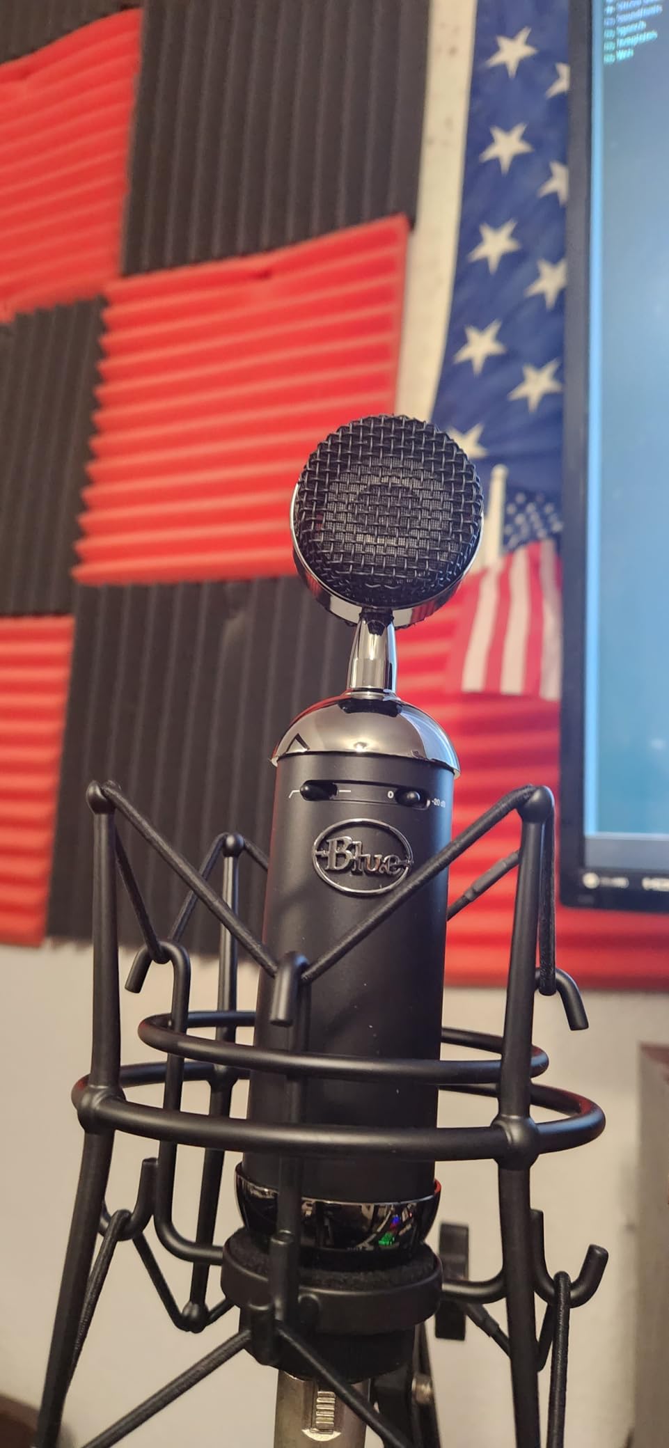 Blue Blackout Spark SL XLR Condenser Microphone for Pro Recording, Streaming, Podcasting, Gaming, with Large Diaphragm Cardioid Mic Capsule, Shockmount, Detailed Natural Sound, Protective Case - Black customer photo 2
