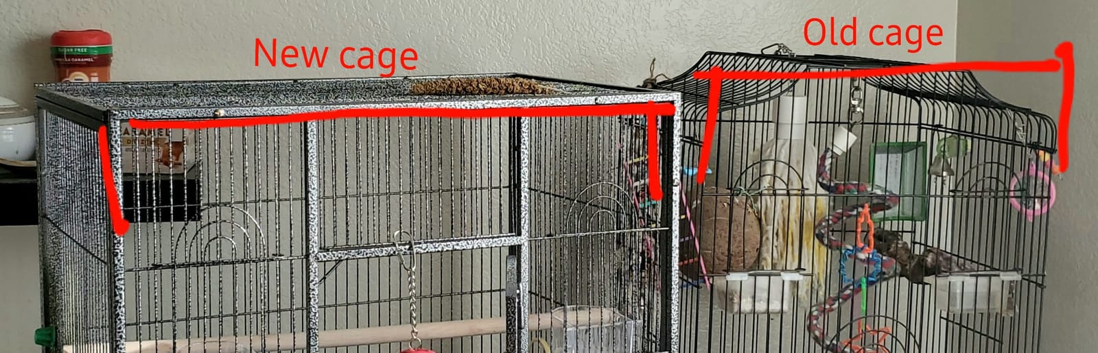 ZENY 53-Inch Parakeet Bird Cage, Wrought Iron Large Parrot Flight Birdcage customer photo 2
