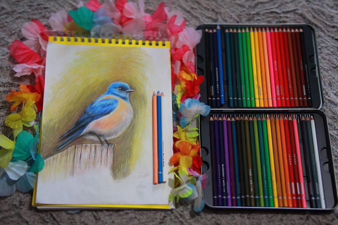 ARTEZA Colored Pencils, 72 Colors, Soft Wax Cores for Coloring and Drawing customer photo 1