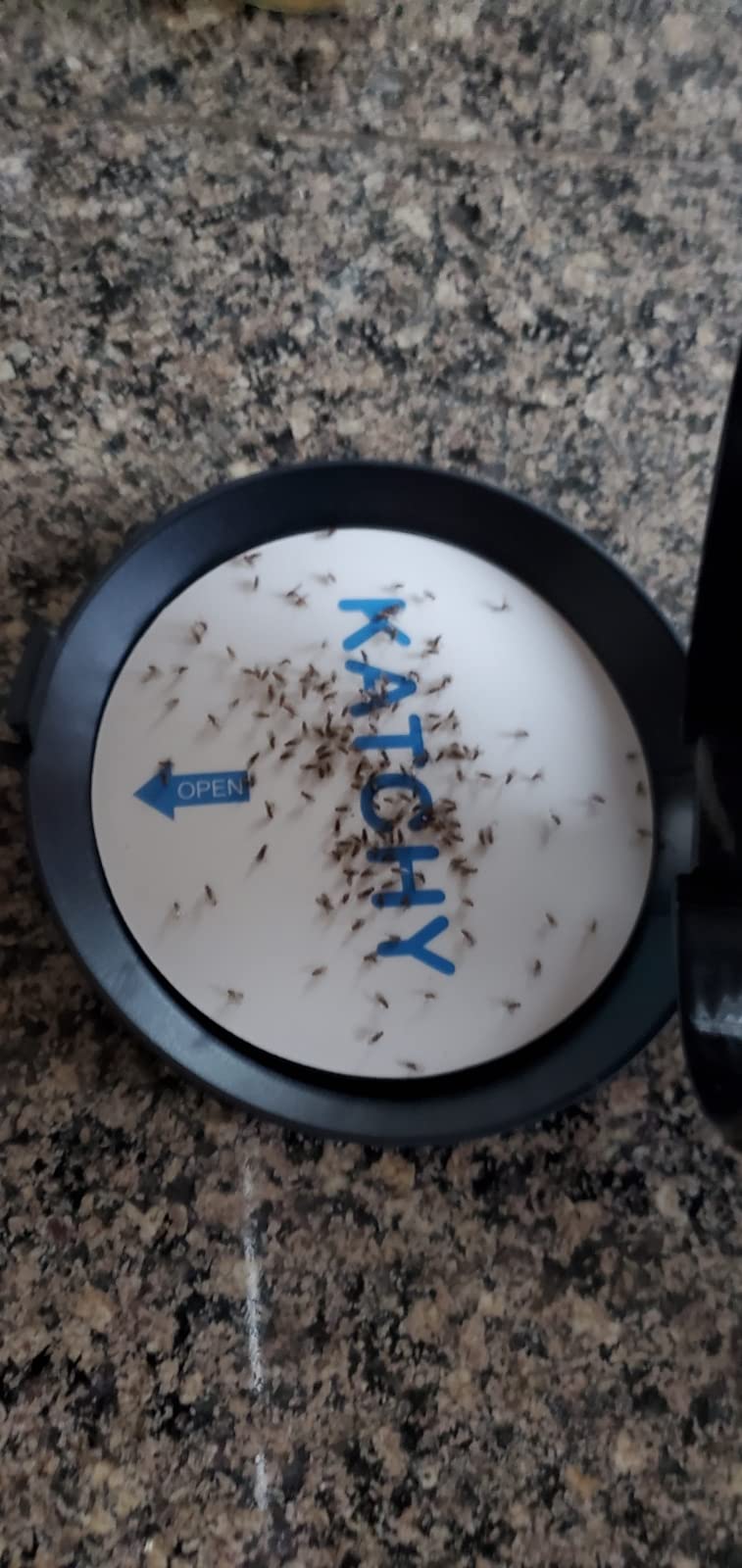 Katchy Midnight - Indoor Insect Trap with Automatic Setting - Fan Powered with UV Light - Fruit Fly Traps for Indoors - for Fruit Flies, Gnats, Mosquitoes, Moths customer photo 1