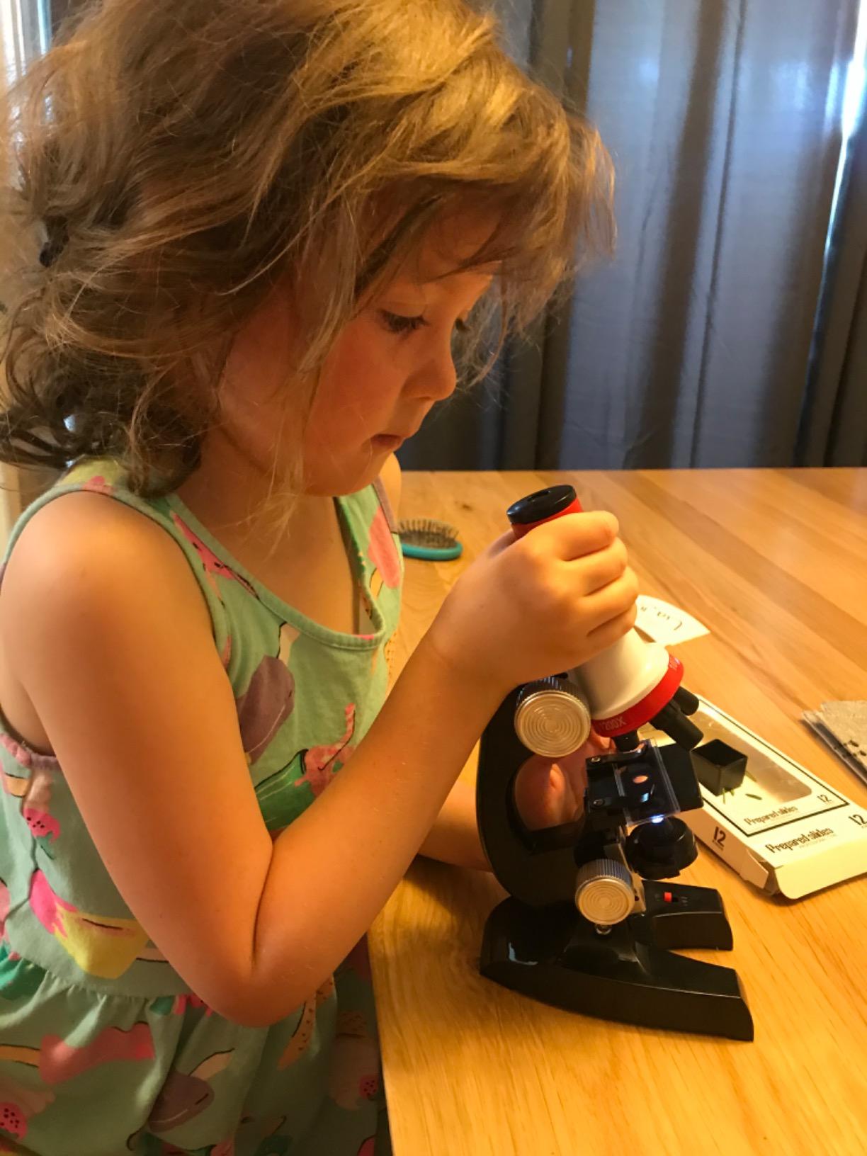 Little World Kids Microscope with LED Light - 100X/400X/1200X Magnification customer photo 1