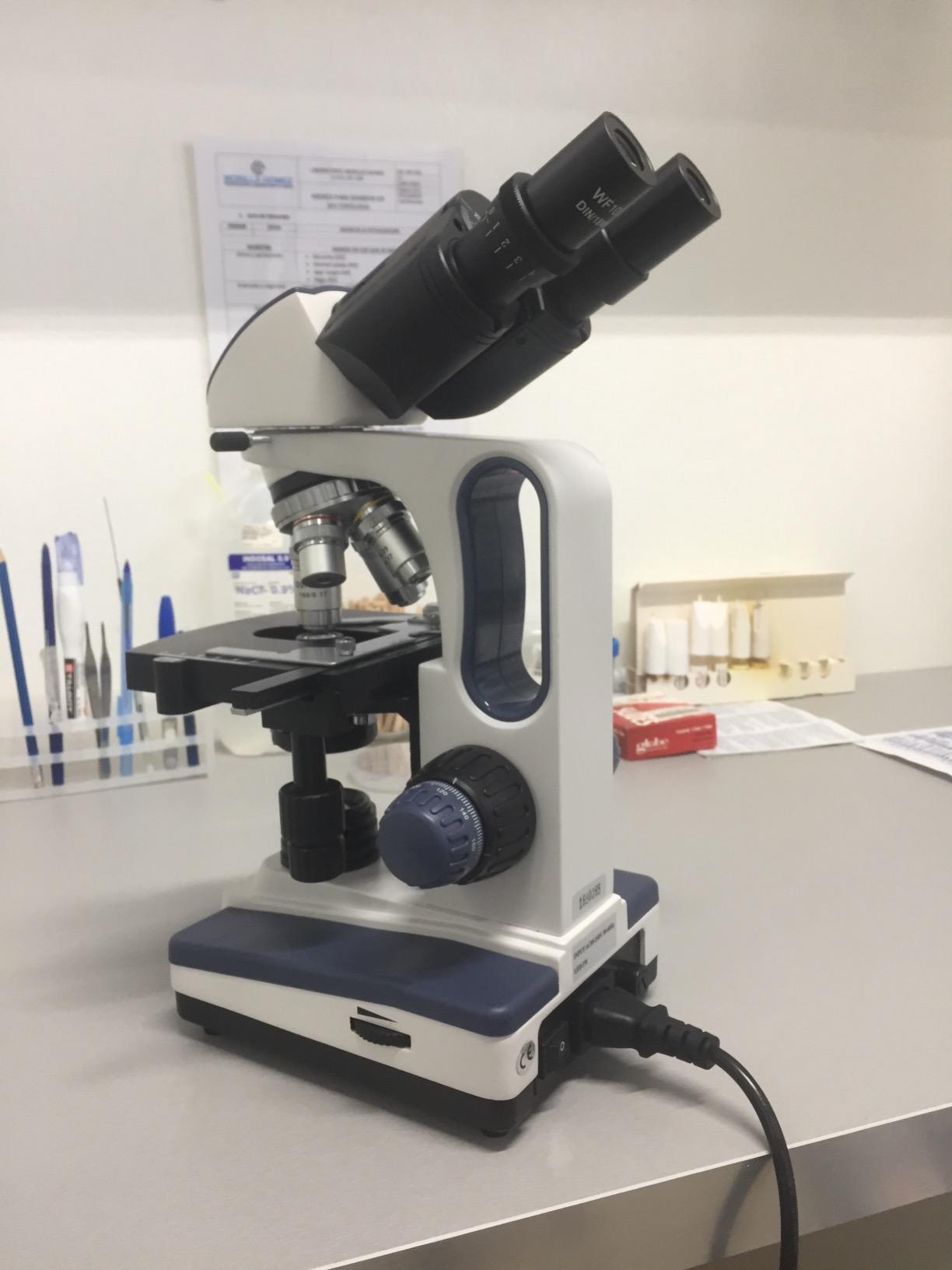 SWIFT SW350B 40X-2500X Magnification, Siedentopf Binocular Head, Research-Grade Compound Lab Microscope with Wide-Field 10X and 25X Eyepieces, Mechanical Stage, Abbe Condenser customer photo 1