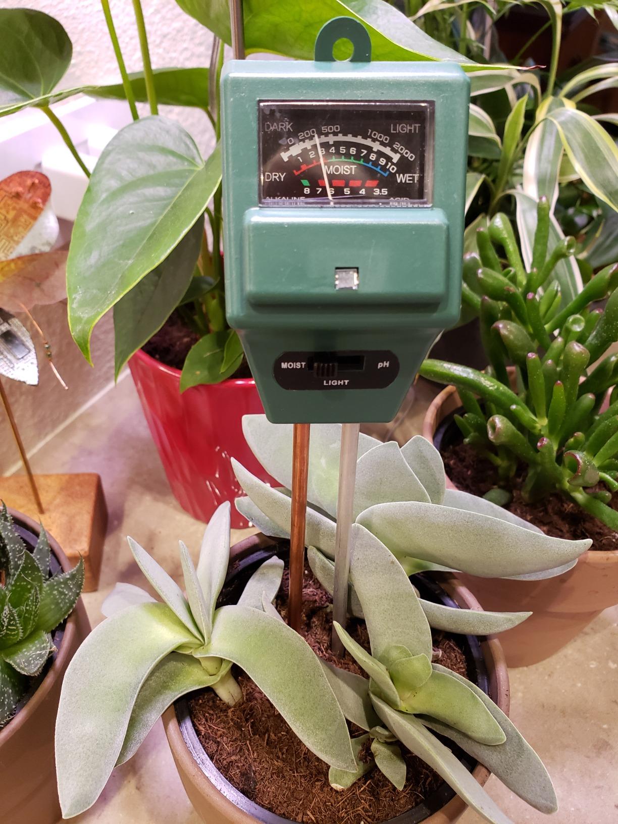 Soil Tester, Soil Moisture/pH Meter, Gardening Farm Lawn Test Kit Tool, Digital Plant Probe, Water Hydrometer for Indoor Outdoor, No Battery Required, Green customer photo 2