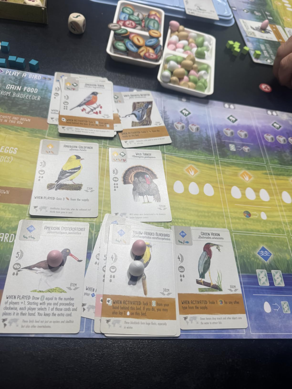 Stonemaier Games: Wingspan by Elizabeth Hargrave customer photo 1