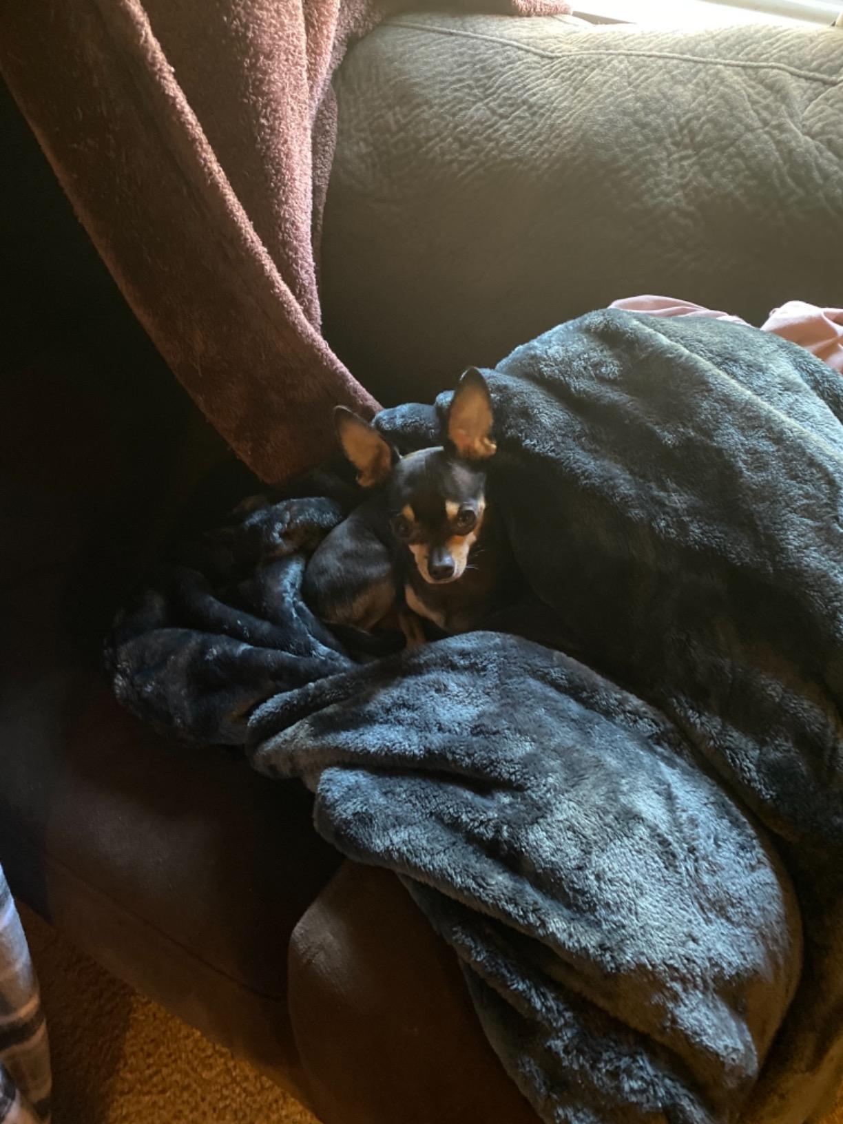 Waitu Wearable Blanket Sweatshirt Gifts for Women and Men, Warm and Cozy Giant Blanket Hoodie, Thick Flannel Hooded Blanket with Sleeves and Giant Pocket - Dark Gray customer photo 2