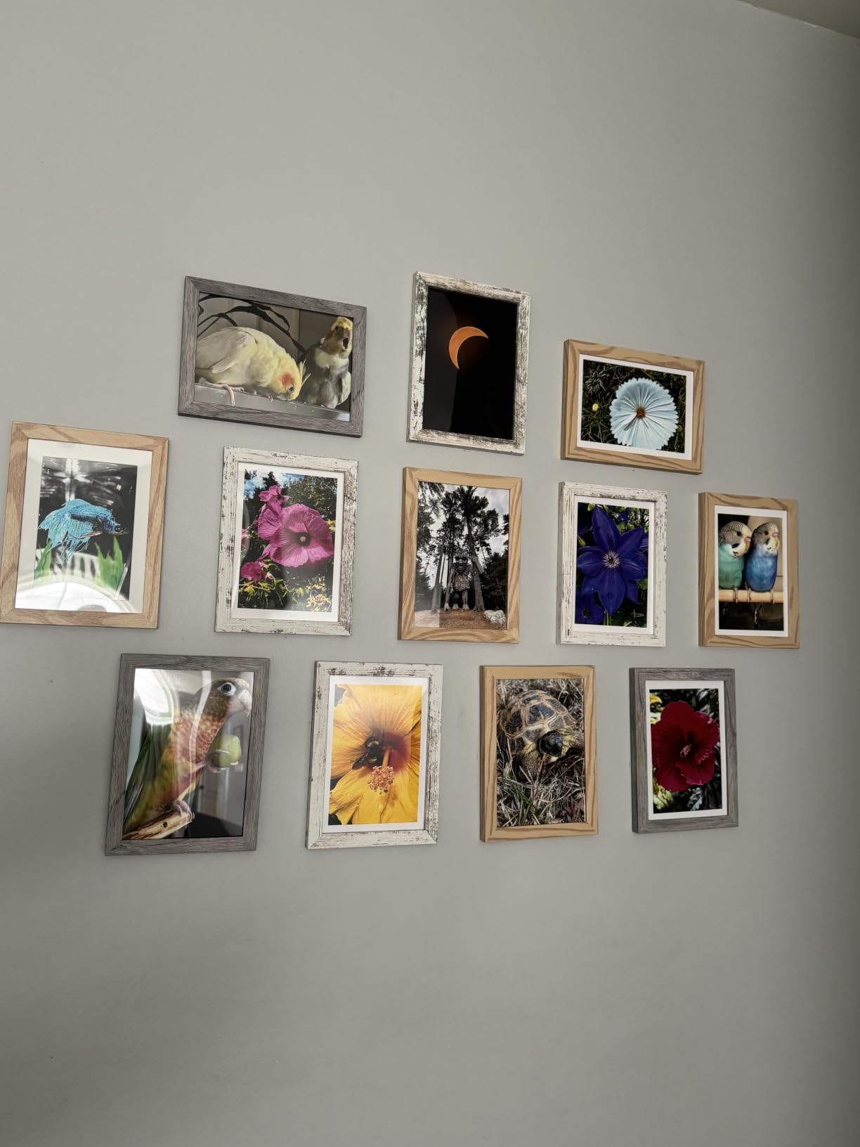 upsimples 5x7 Picture Frame, Photo Collage Wall Decor Set of 10, Black customer photo 2