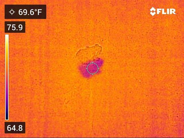 Flir C5 Compact Thermal Imaging Camera, WiFi, 160x120 MSX, Ignite customer photo 1