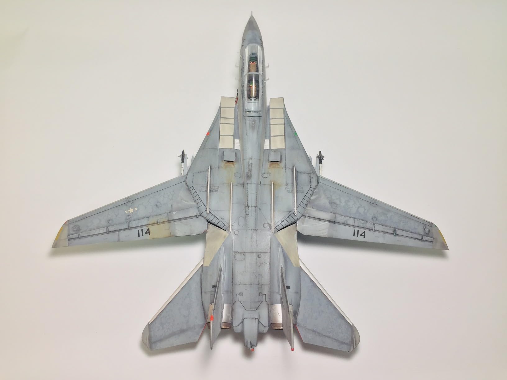 Revell Maverick's F-14A Tomcat customer photo 2