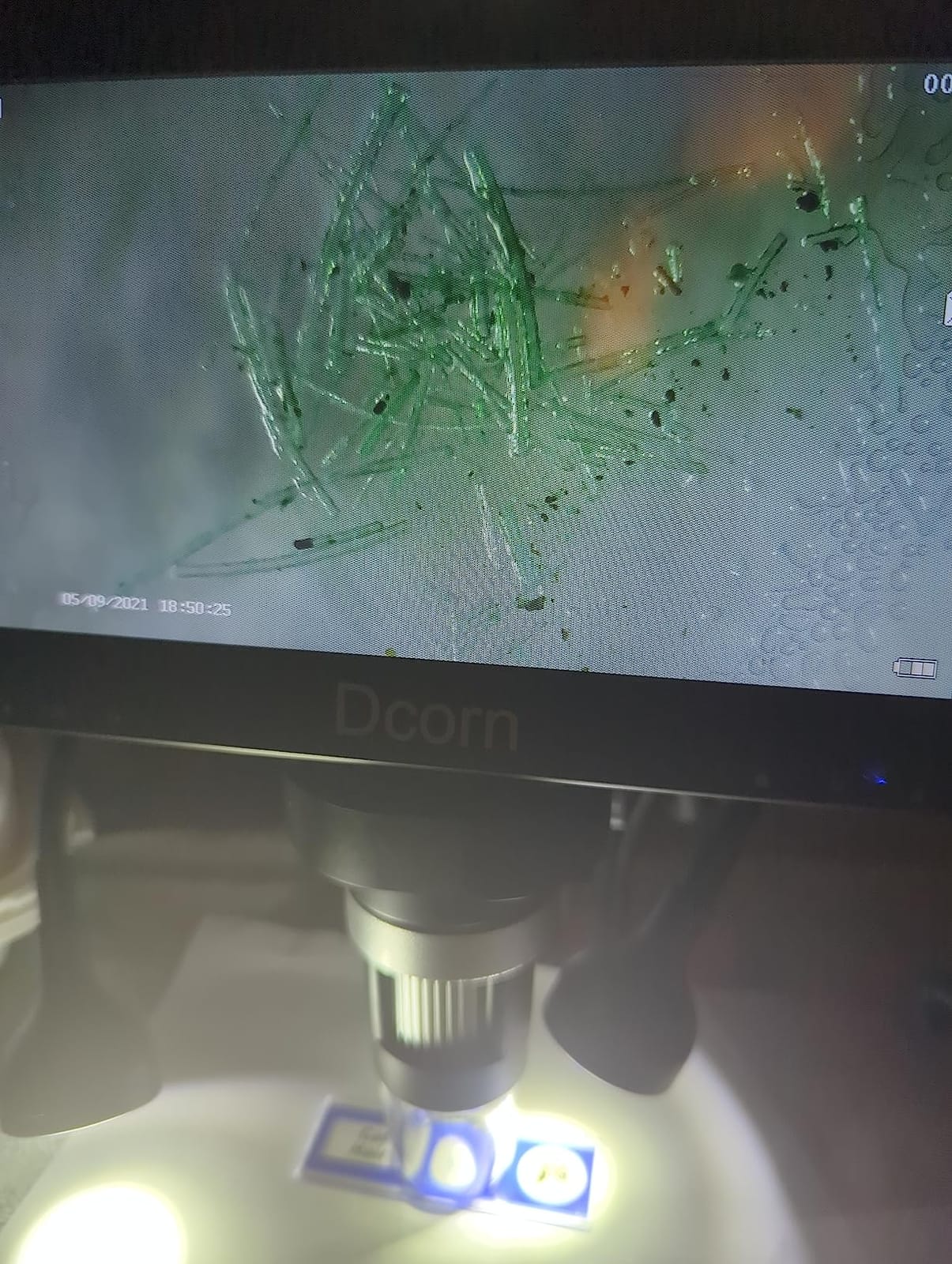 7'' Digital Microscope 1200X,Dcorn 12MP 1080P Photo/Video Microscope for Adults Soldering Coins,Metal Stand,Wired Remote,10 LED Fill Lights,PC View,Windows/Mac Compatible customer photo 2