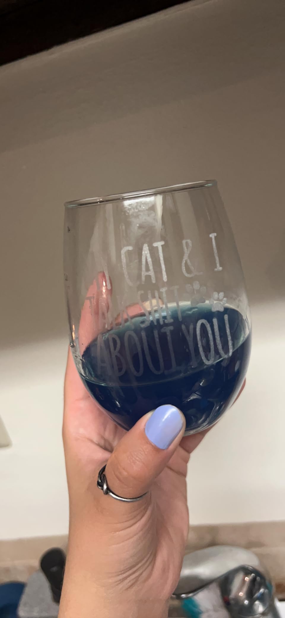 Cat Lover Gift, My Cat & I Talk Sh*t About You, Stemless Wine Glass 15 Oz customer photo 2