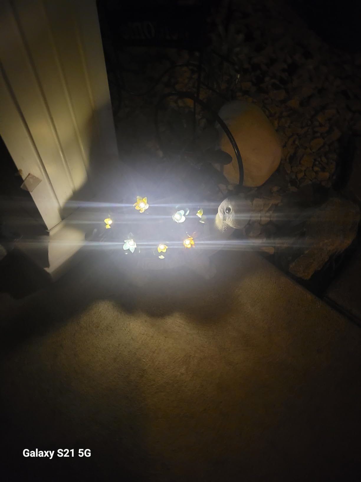 Nacome Solar Turtle Garden Statue - Succulent & 7 LED Lights, Outdoor Decor customer photo 2